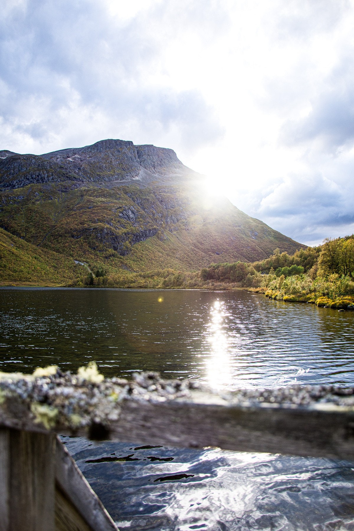 Flotte turområder i fjellene rundtom Galleribilde