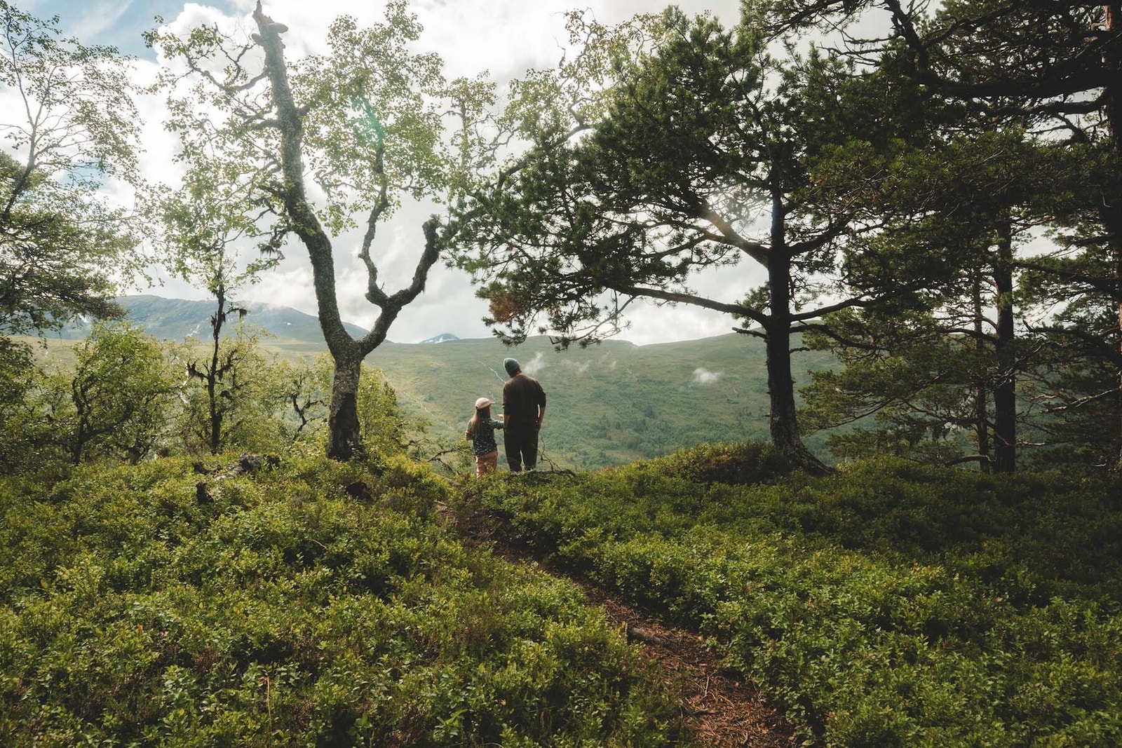 Frodig og vakkert landskap. Foto Nomads Photography Galleribilde