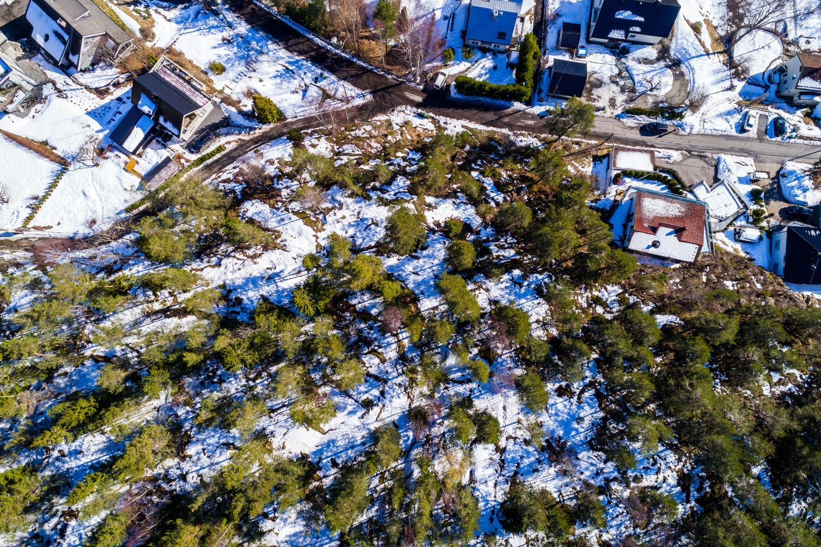 Statsråd Ilensvei 7 Galleribilde