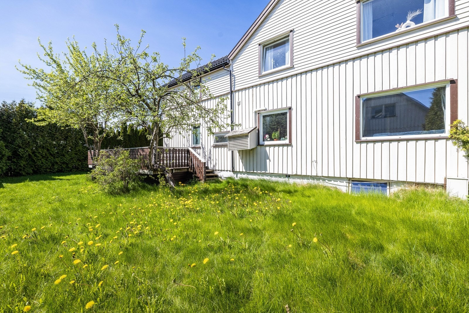 I hagen er det god boltreplass for store og små. Tomten er pent rammet inn med hekk og gjerde. Galleribilde