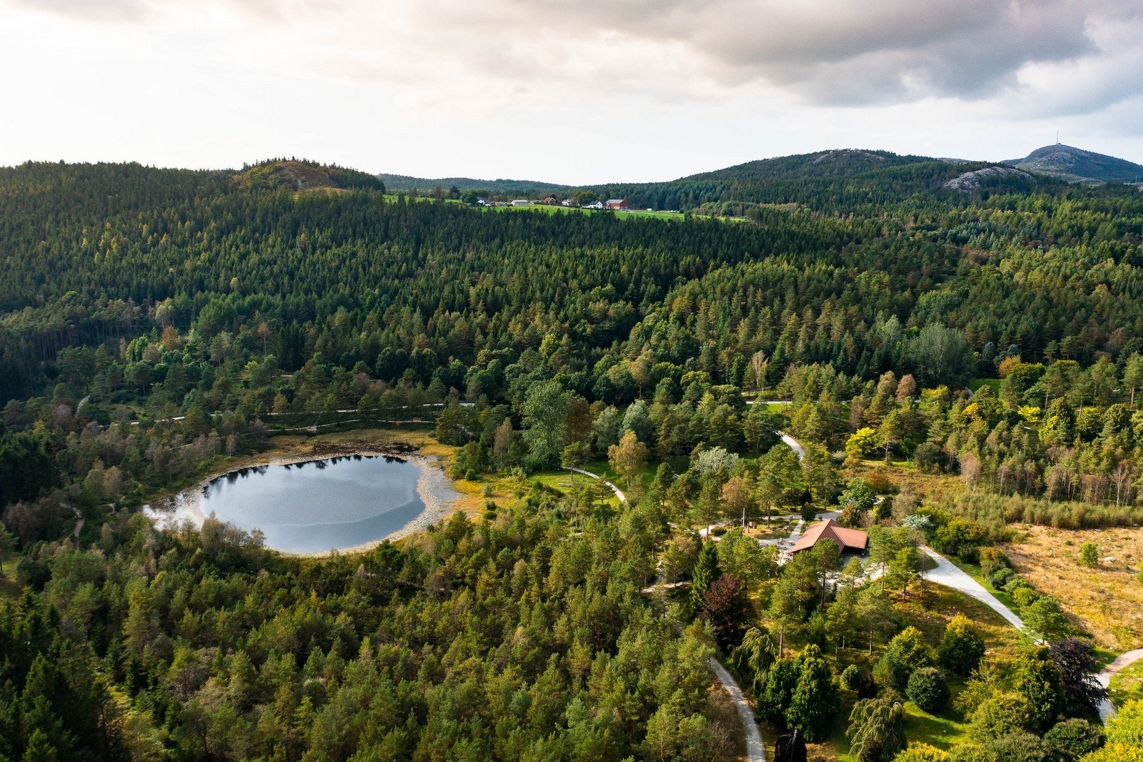 Sett billedbeskrivelse Galleribilde
