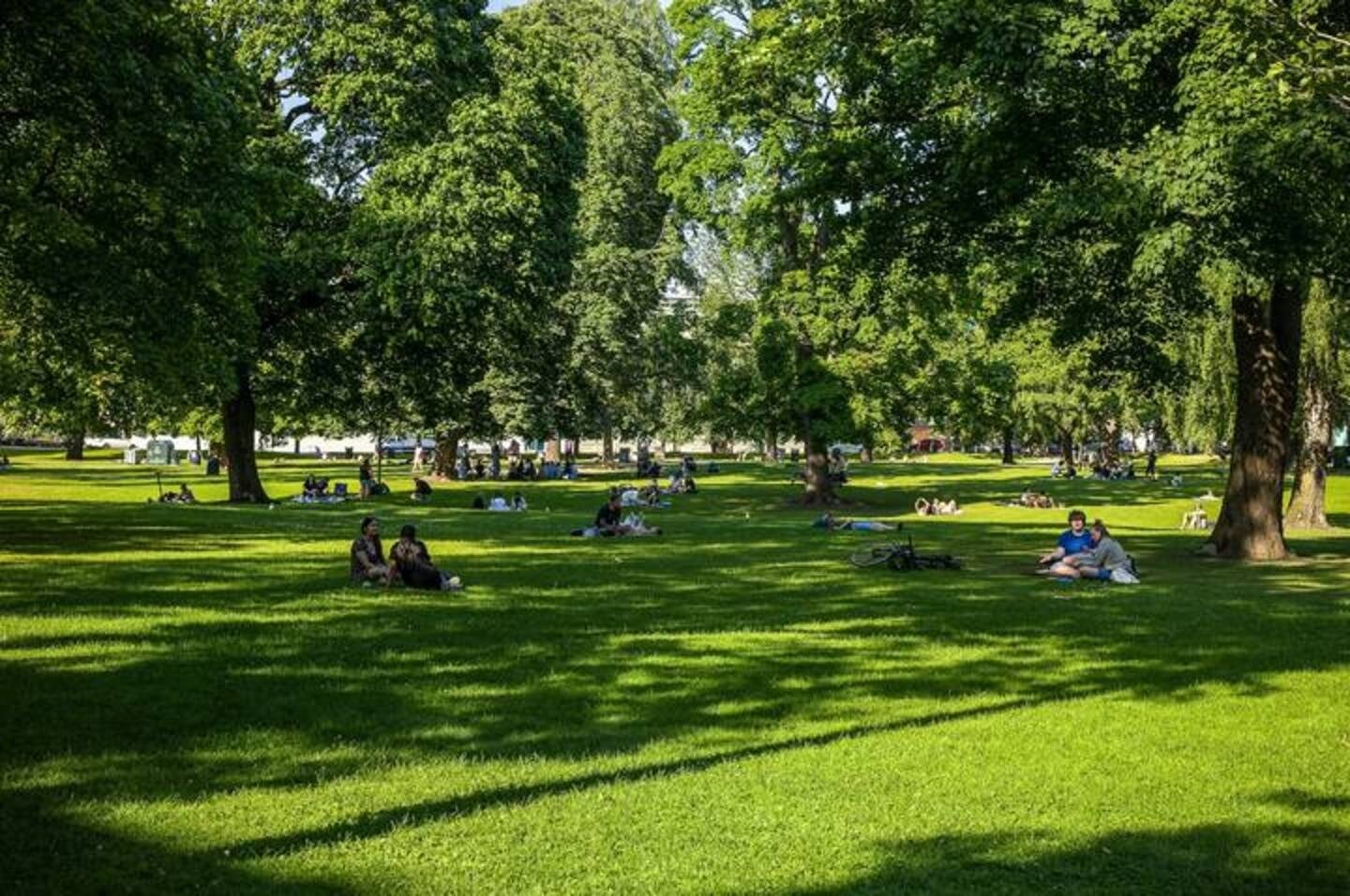Kort avstand fra leiligheten til Sofienbergparken Galleribilde