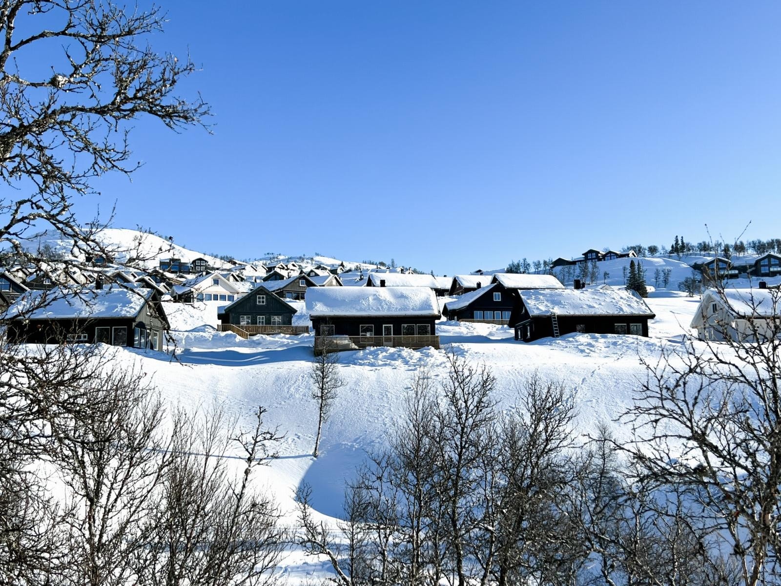 Gode solforhold Galleribilde