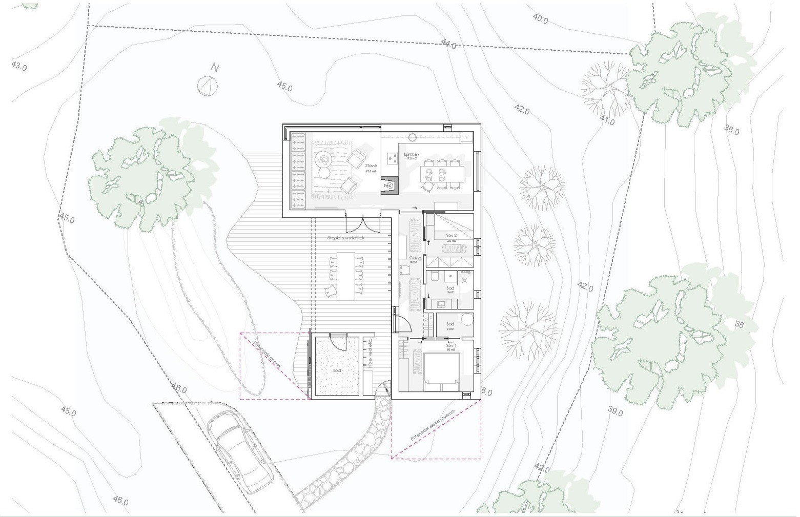Planteikning "Knaus" Galleribilde