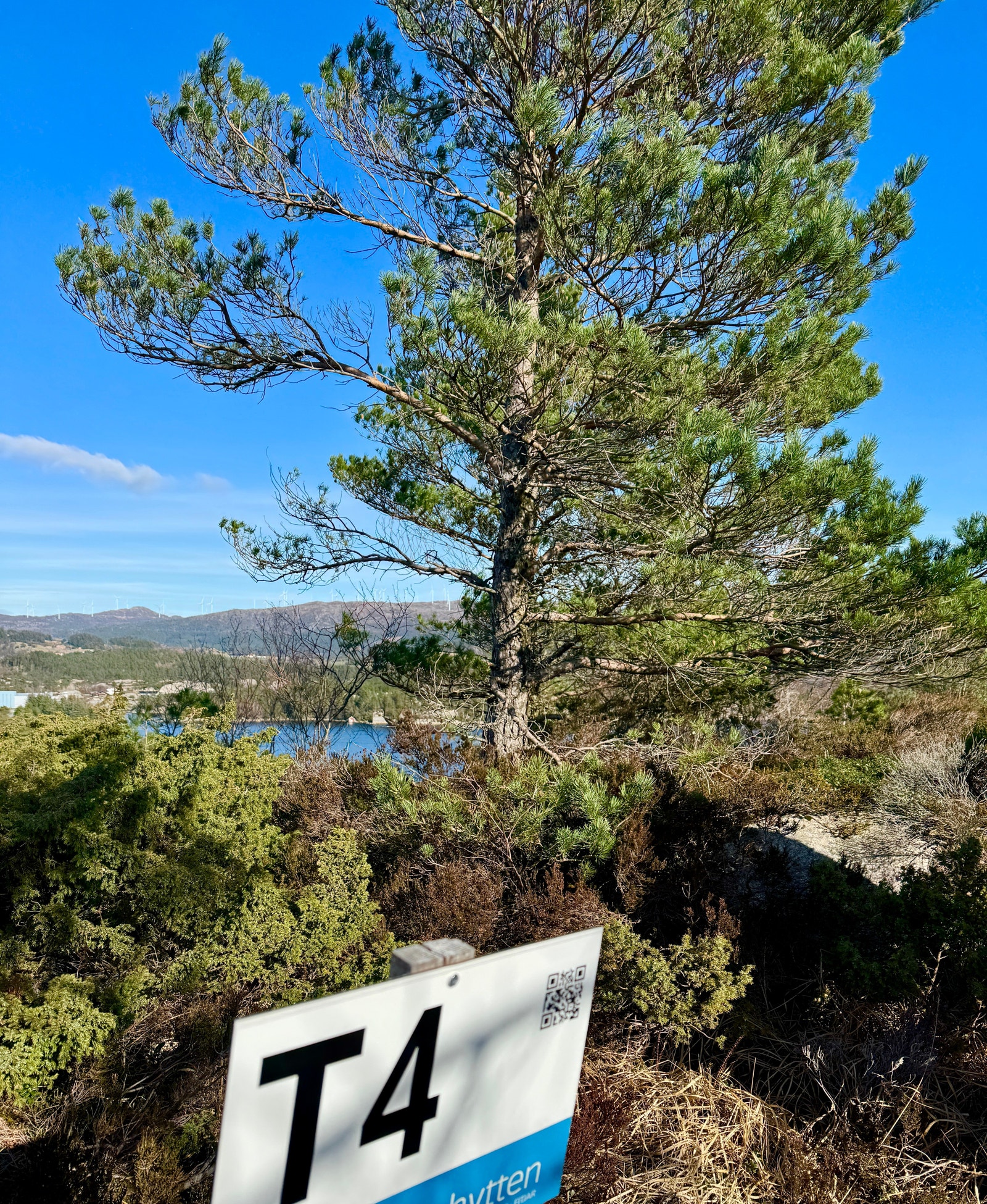 Tomt 4 er avmerka Galleribilde