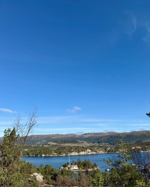 Utsikt mot Fitjarfjella Galleribilde