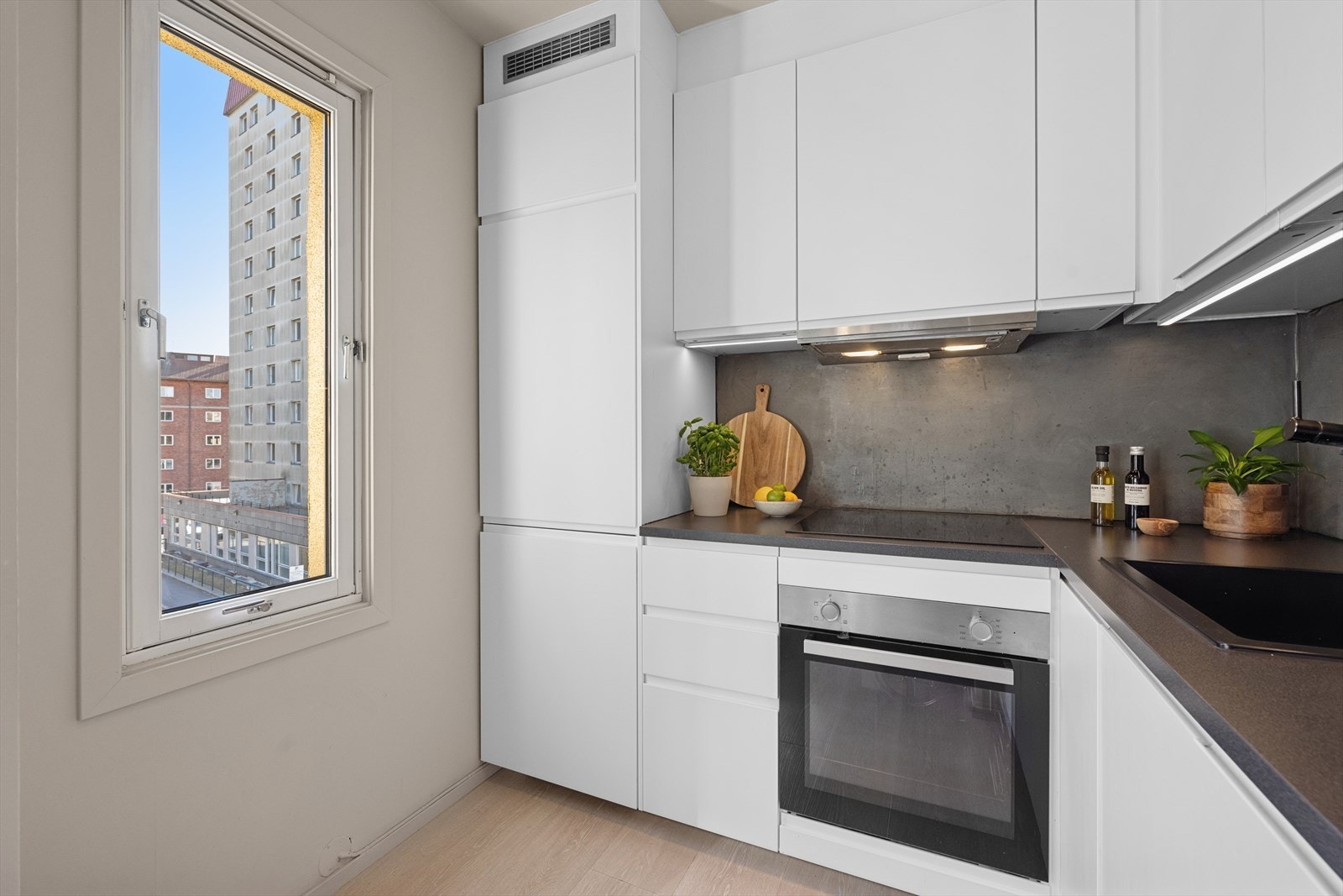 Her er det integrert induksjonstopp, stekeovn, oppvaskmaskin, samt kjøle-/fryseskap. Galleribilde