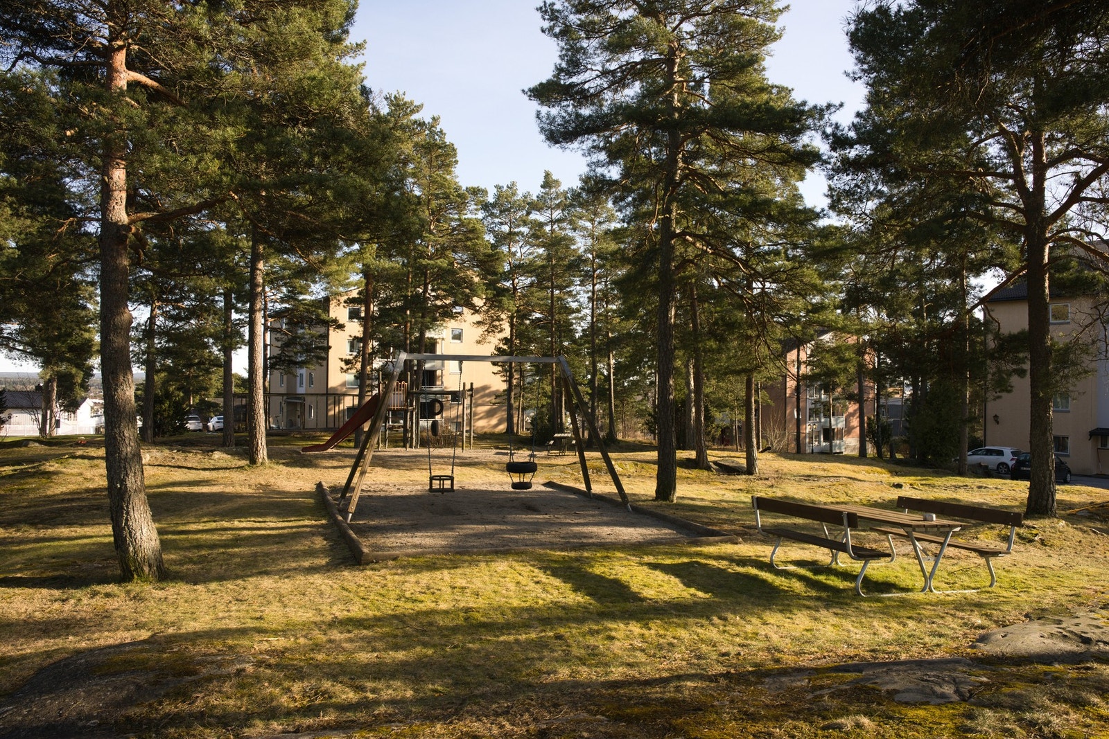 Felles tomt som er pent opparbeidet med grøntarealer slik som gressplen, beplantning, prydbusker og trær. Galleribilde