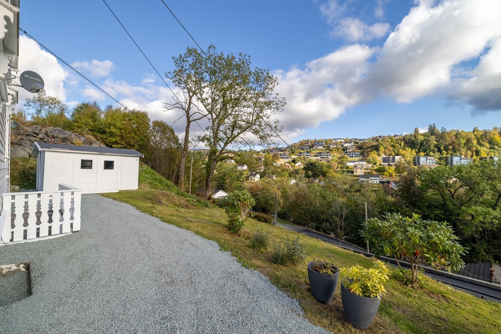 Grønt, frodig og vakkert! Galleribilde