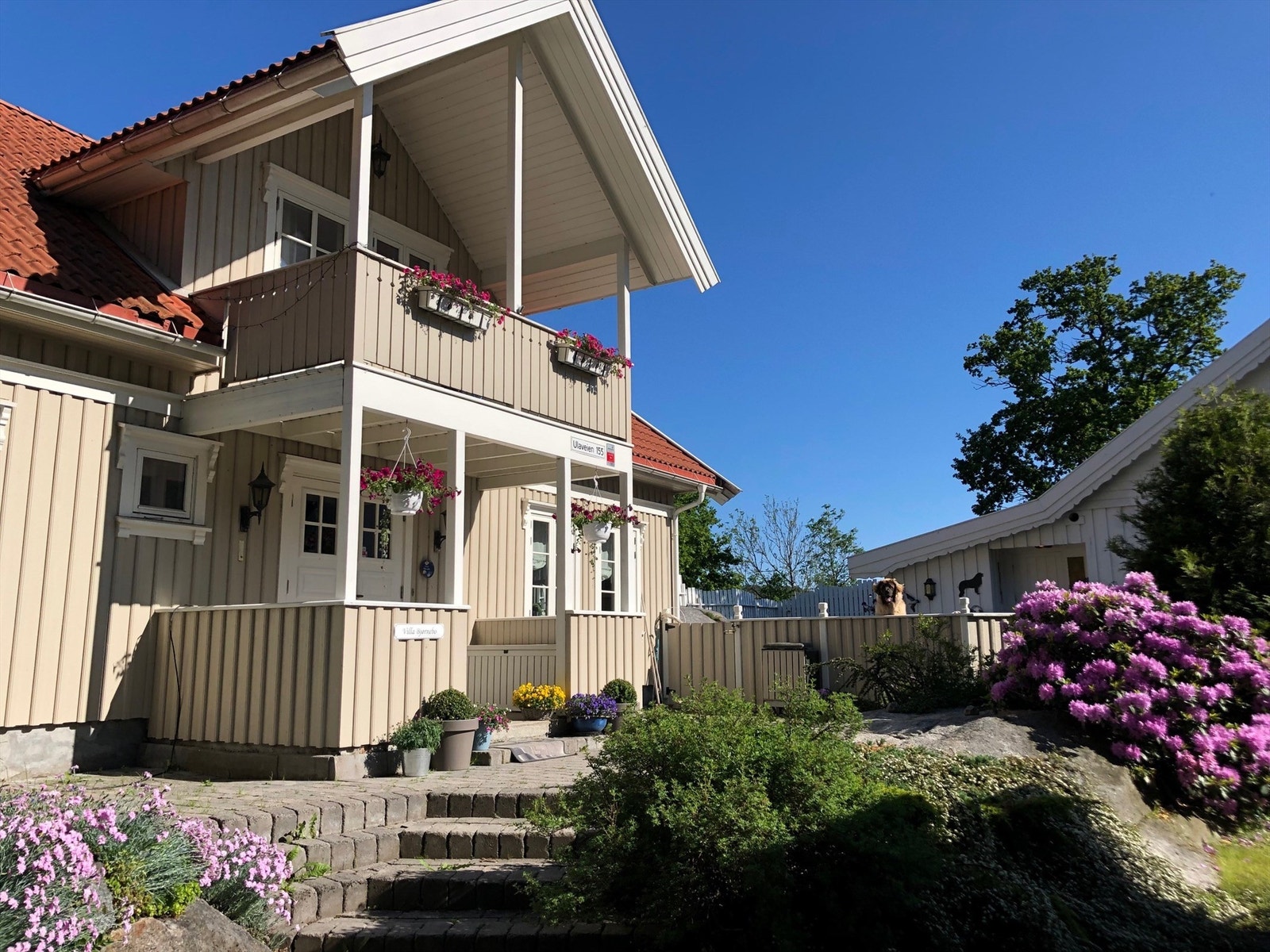 Sommeridyll i Ulaveien 155 og 157. Galleribilde