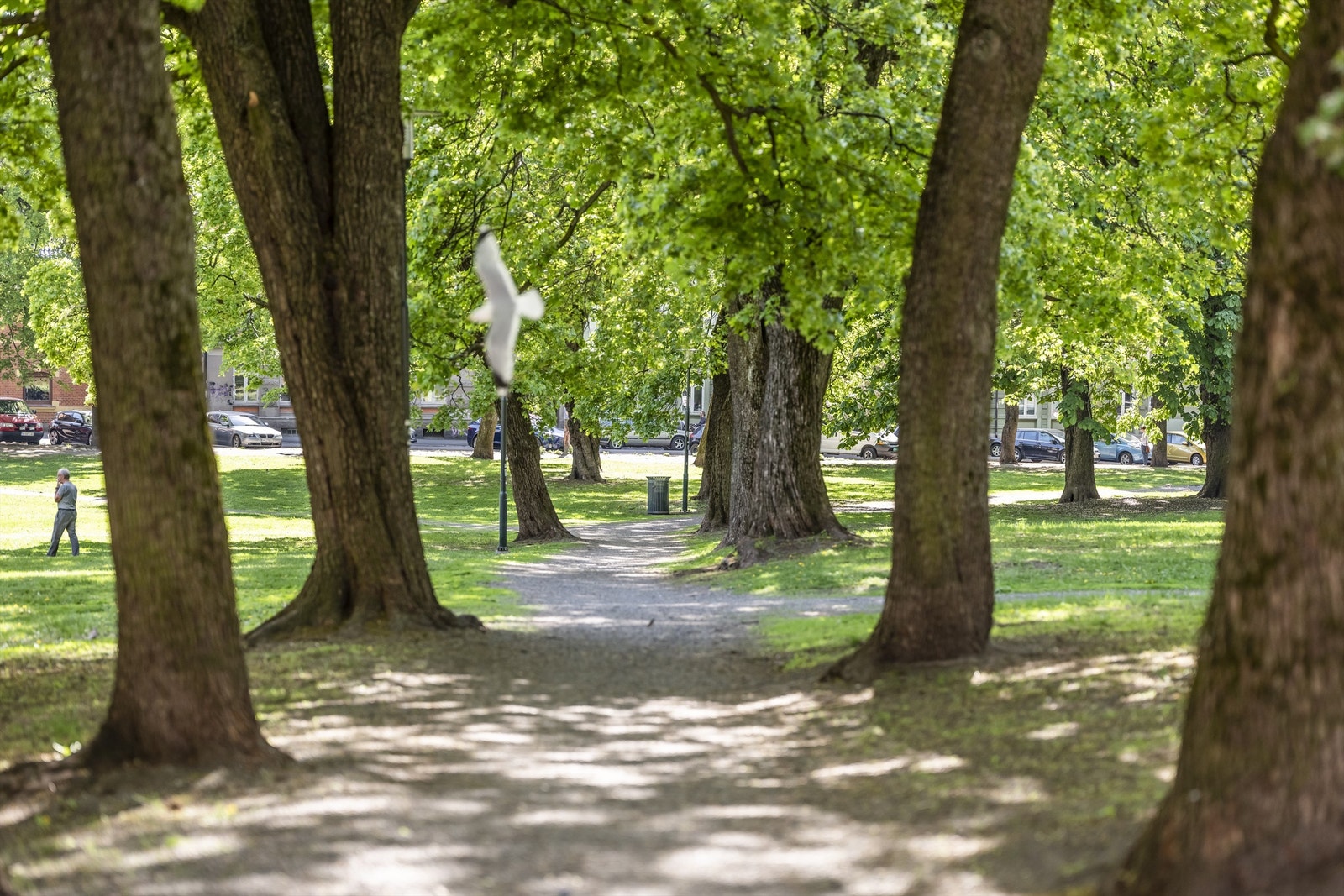 Av dagligvare har du Spar ca. 1 minutts gange unna, Kiwi ca. 3 minutts gange unna og søndagsåpen Joker 5 minutter unna. Galleribilde
