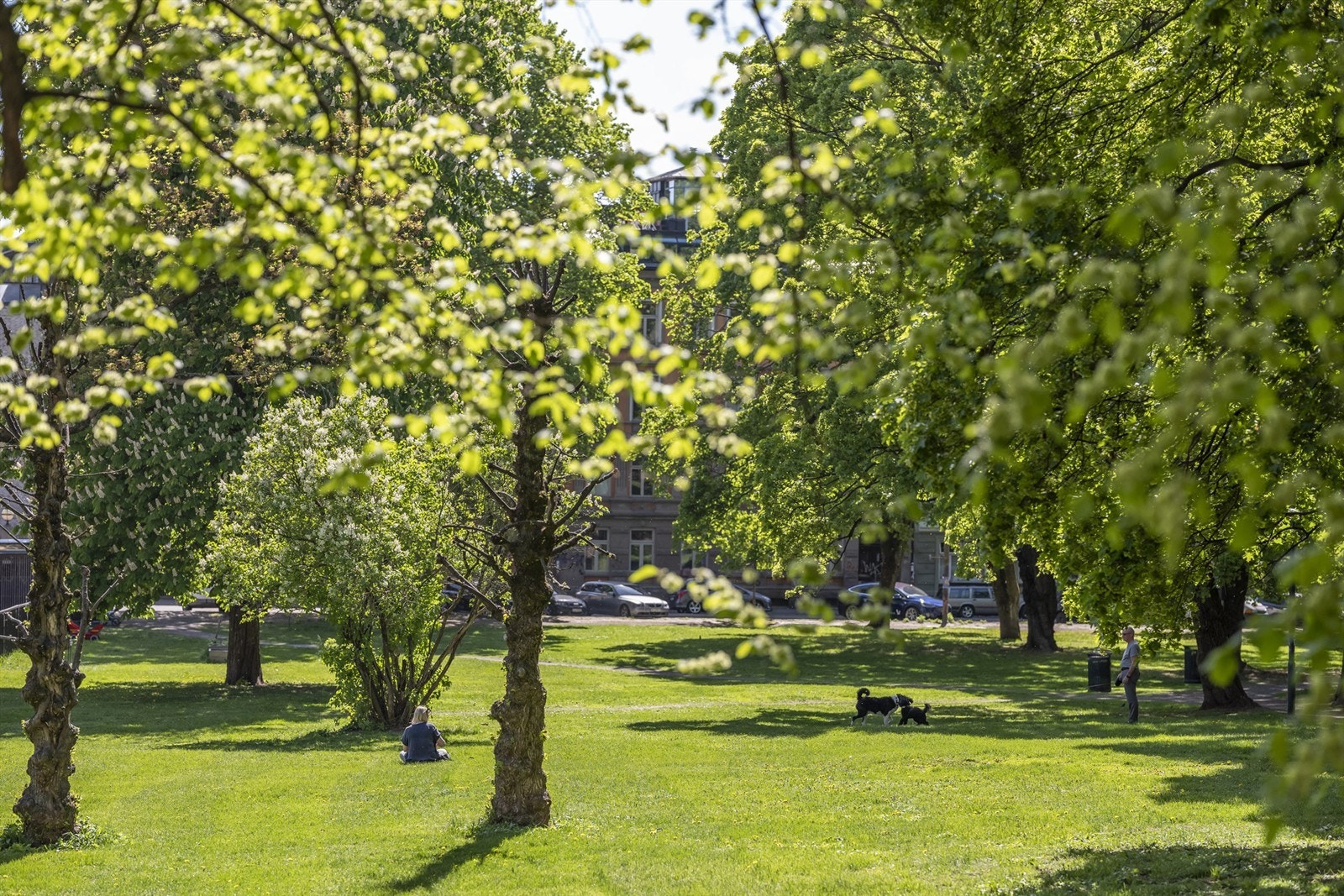 Grünerløkka byr ellers på en rekke restauranter, parker, kulturtilbud og nisjebutikker. Galleribilde