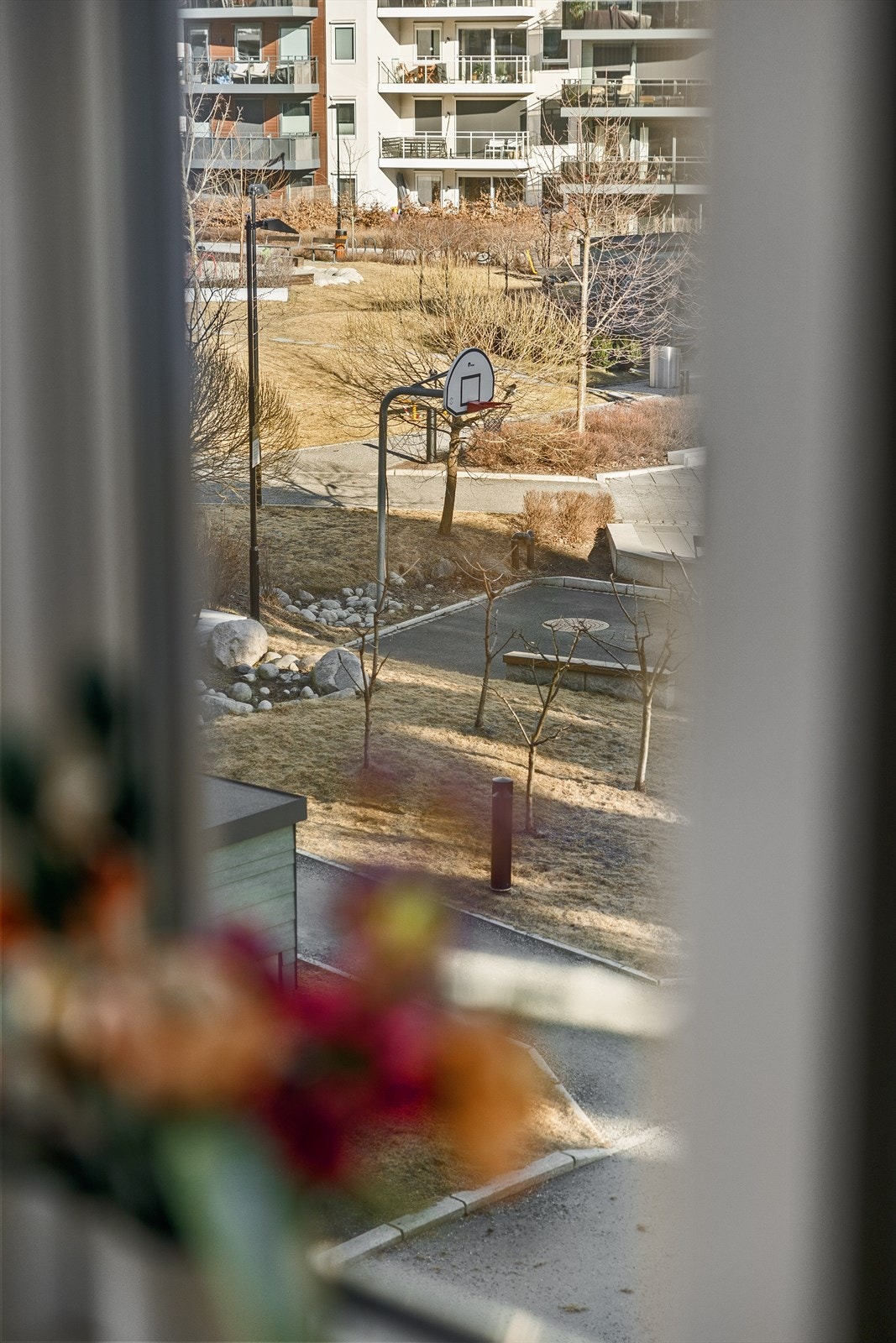 1L7A2586.jpg Galleribilde