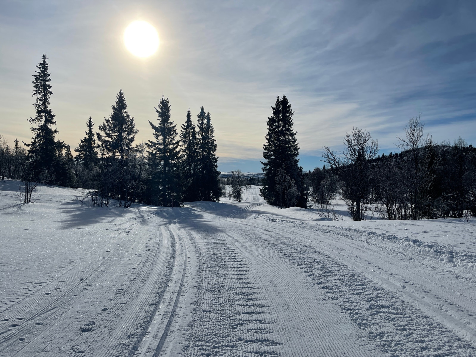 Områdebilde Galleribilde