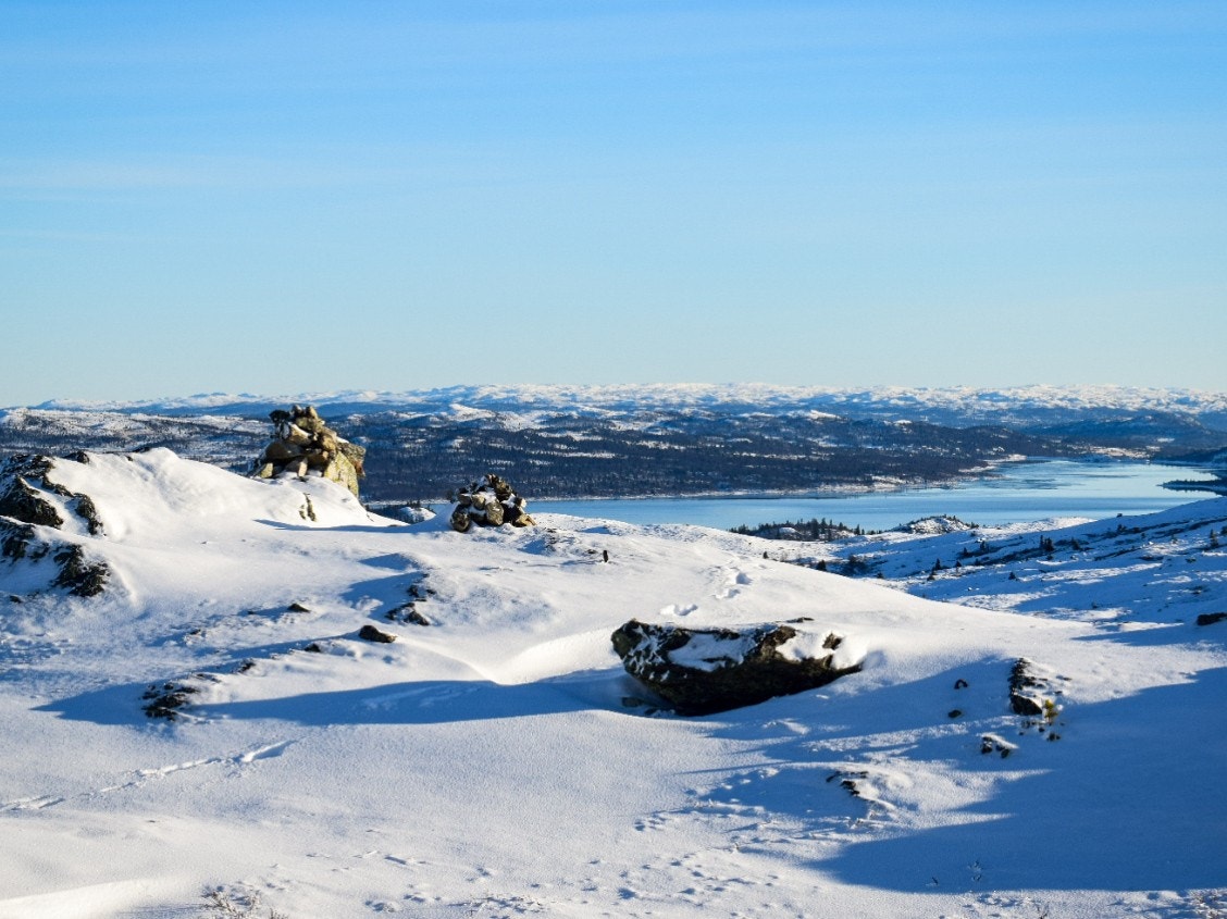 Områdebilde Galleribilde