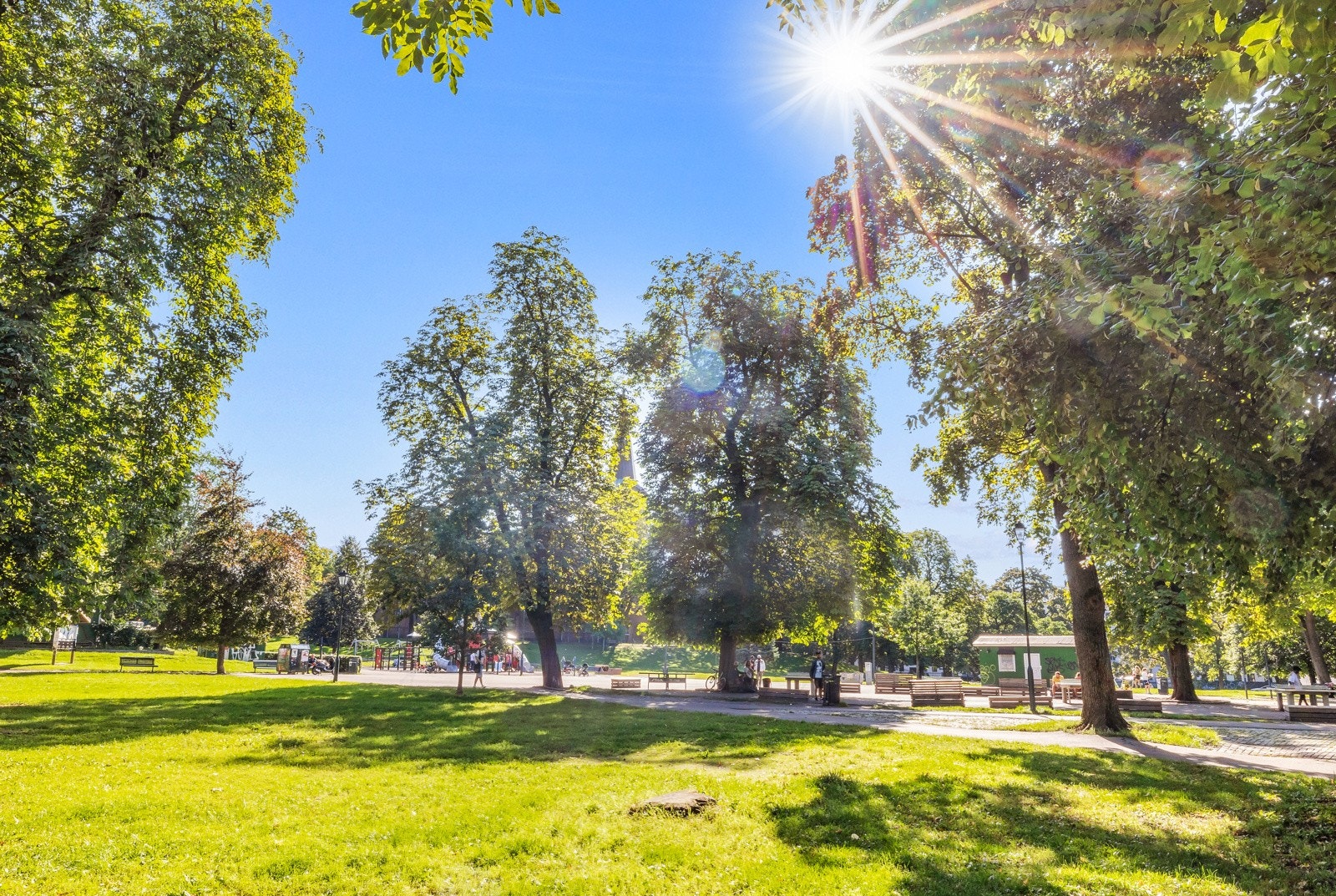 Flotte parkområder innen kort gange fra leiligheten Galleribilde