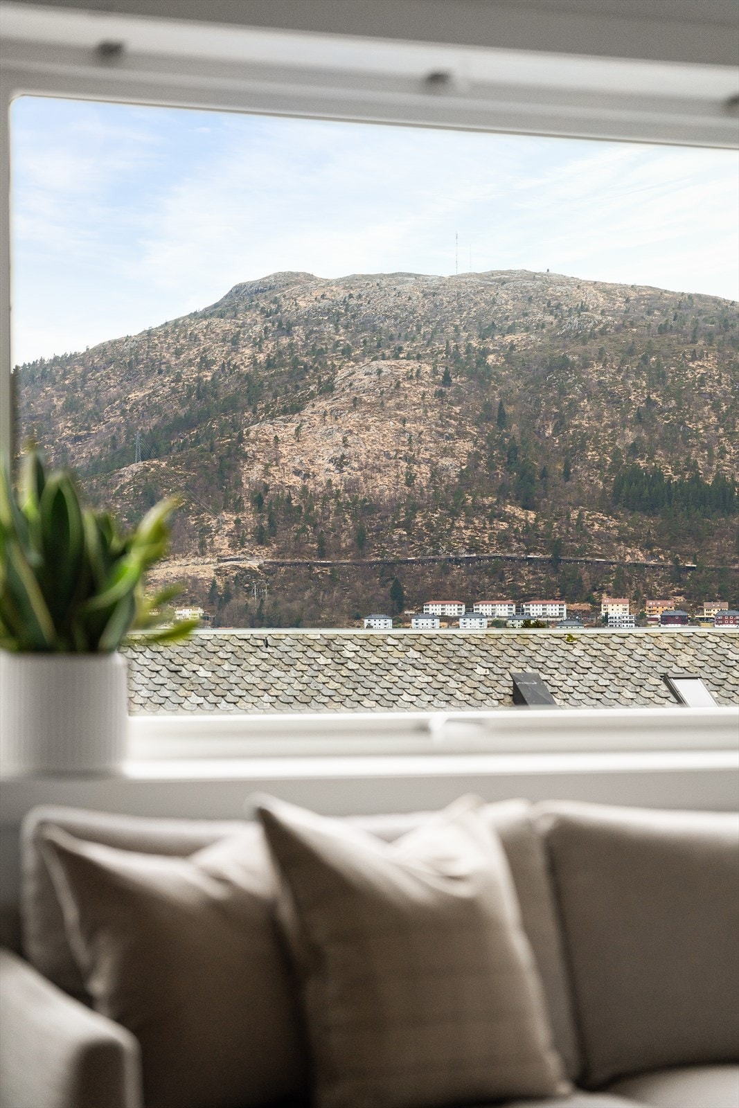 Her ser man rett over på den populære Løvstien! Galleribilde