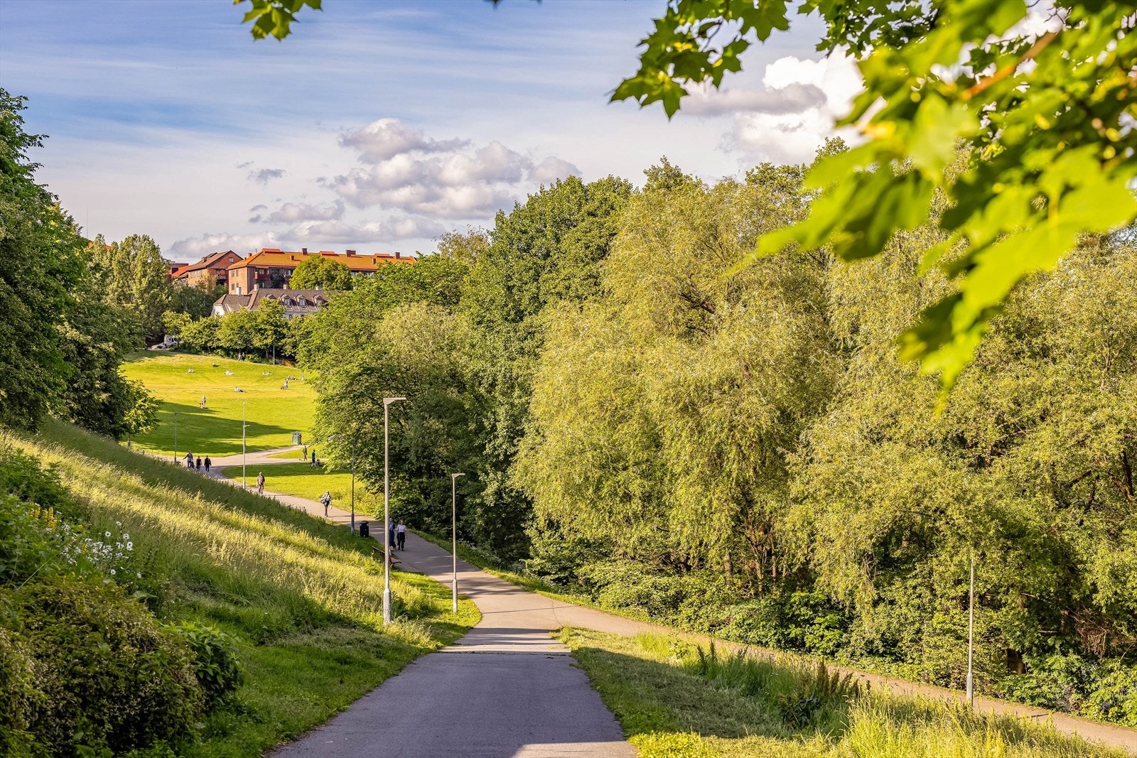 Bydelen kan by på flere fantastiske tur- og grøntområder som Bjølsenparken, Geitmyra skolehager og -gård, Akerselva Miljøpark, Myraløkka og Voldsløkka rett rundt hjørnet. Galleribilde