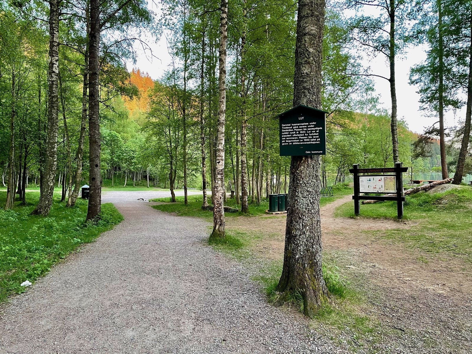 Lutvann ligger bare noen minutters gange fra boligen. Galleribilde