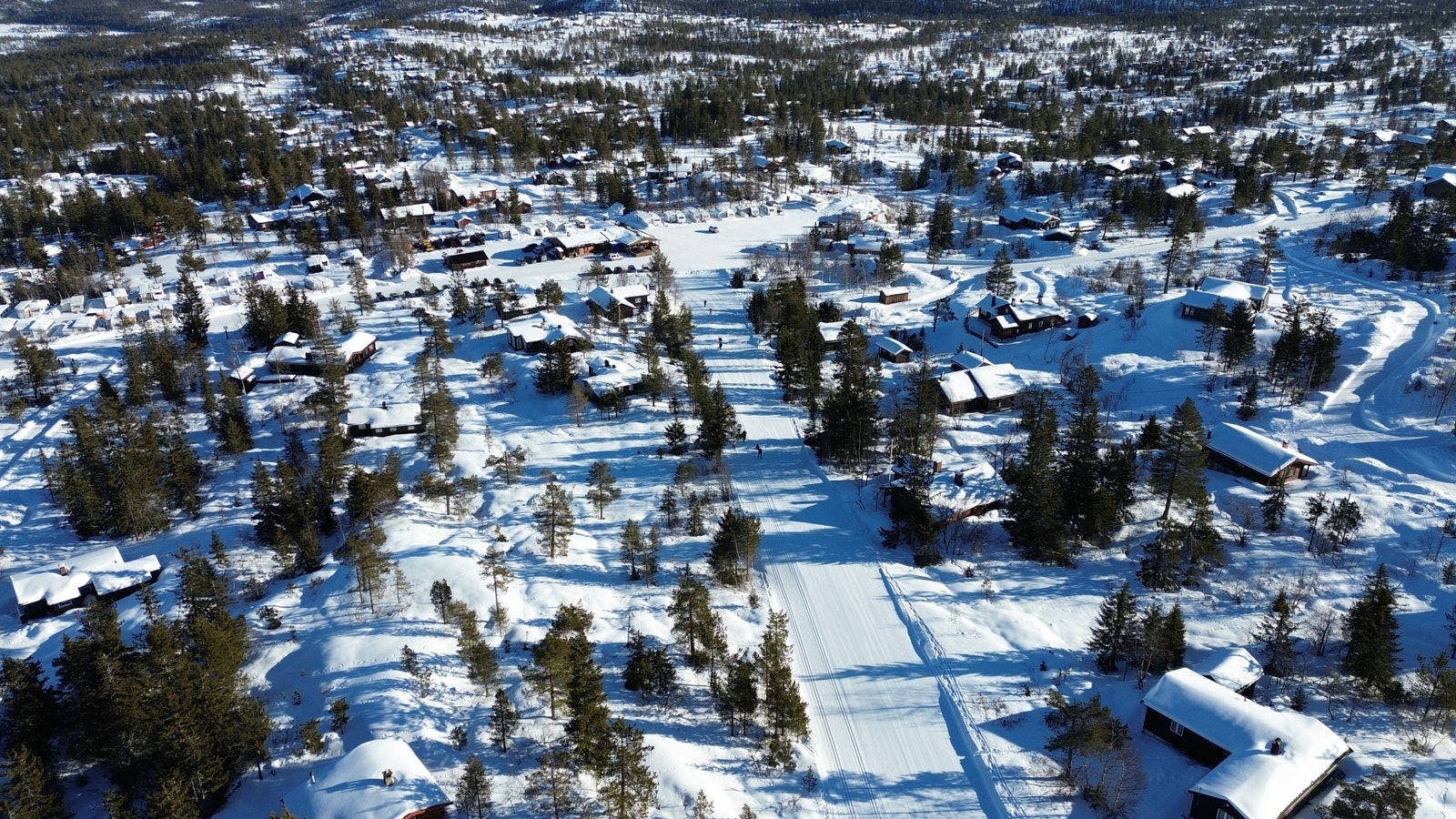 Skiløype Galleribilde