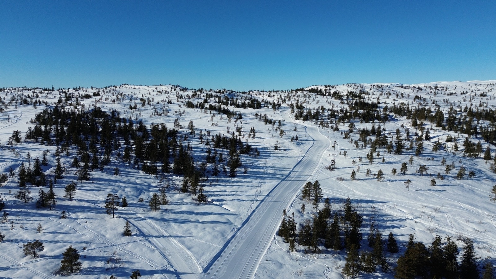 Skiløype Galleribilde