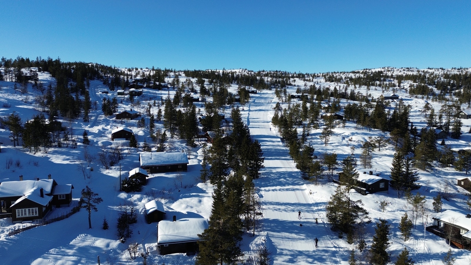 Skiløype Galleribilde
