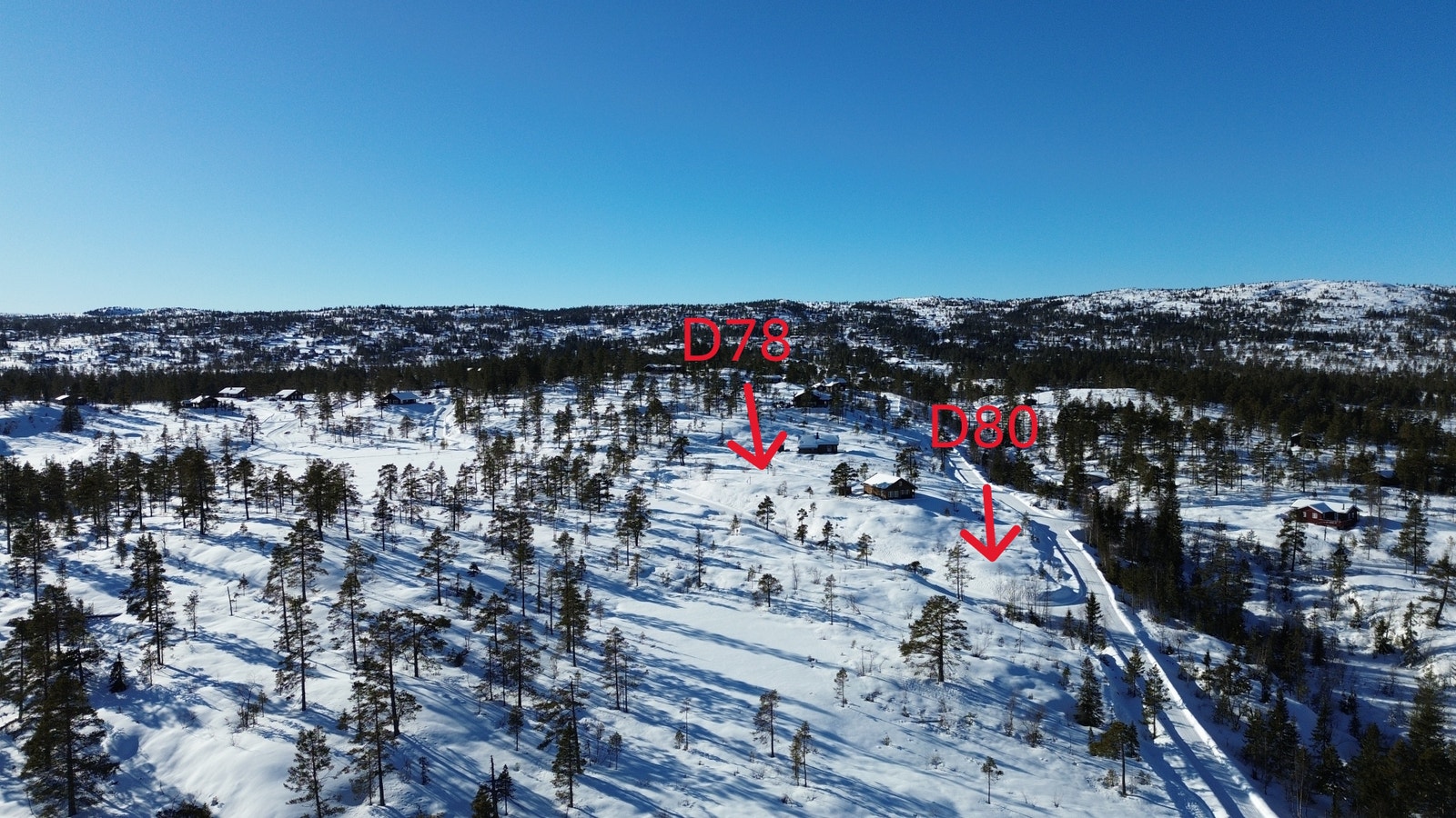 D78 og D80 Galleribilde