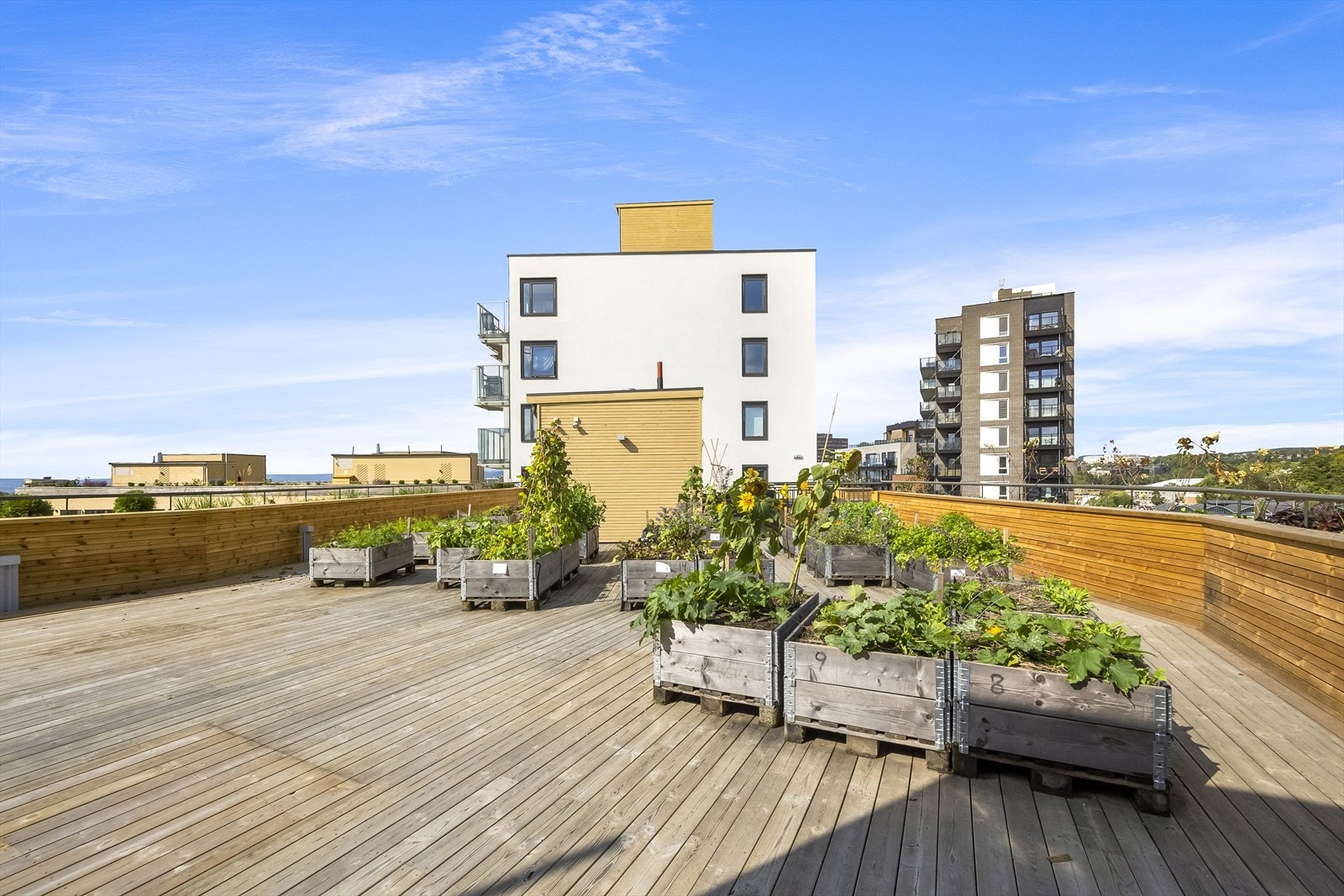 Borettslaget har fire herlige takterrasser hvor man kan nyte solen hele dagen når den skinner, samt byutsikt. Her vil man finne flere sitteplasser. Galleribilde