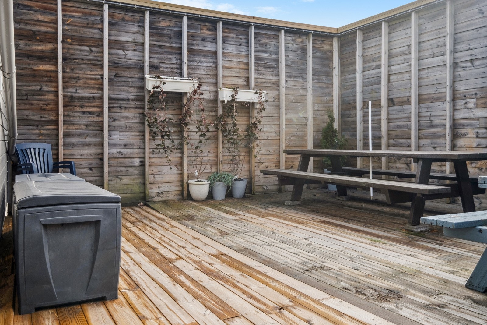 Felles uteplass for beboerne Galleribilde