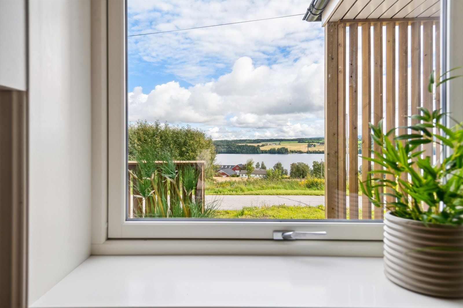 Utsikt over fjorden. Galleribilde