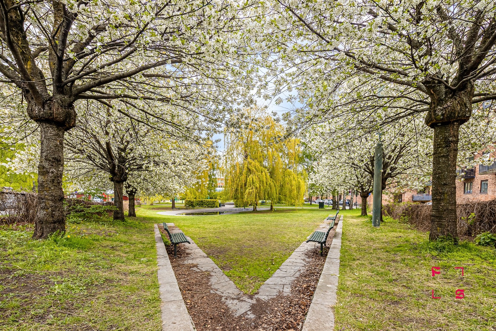 Nærområdet har flere flotte parkanlegg, her på Kampen! Galleribilde
