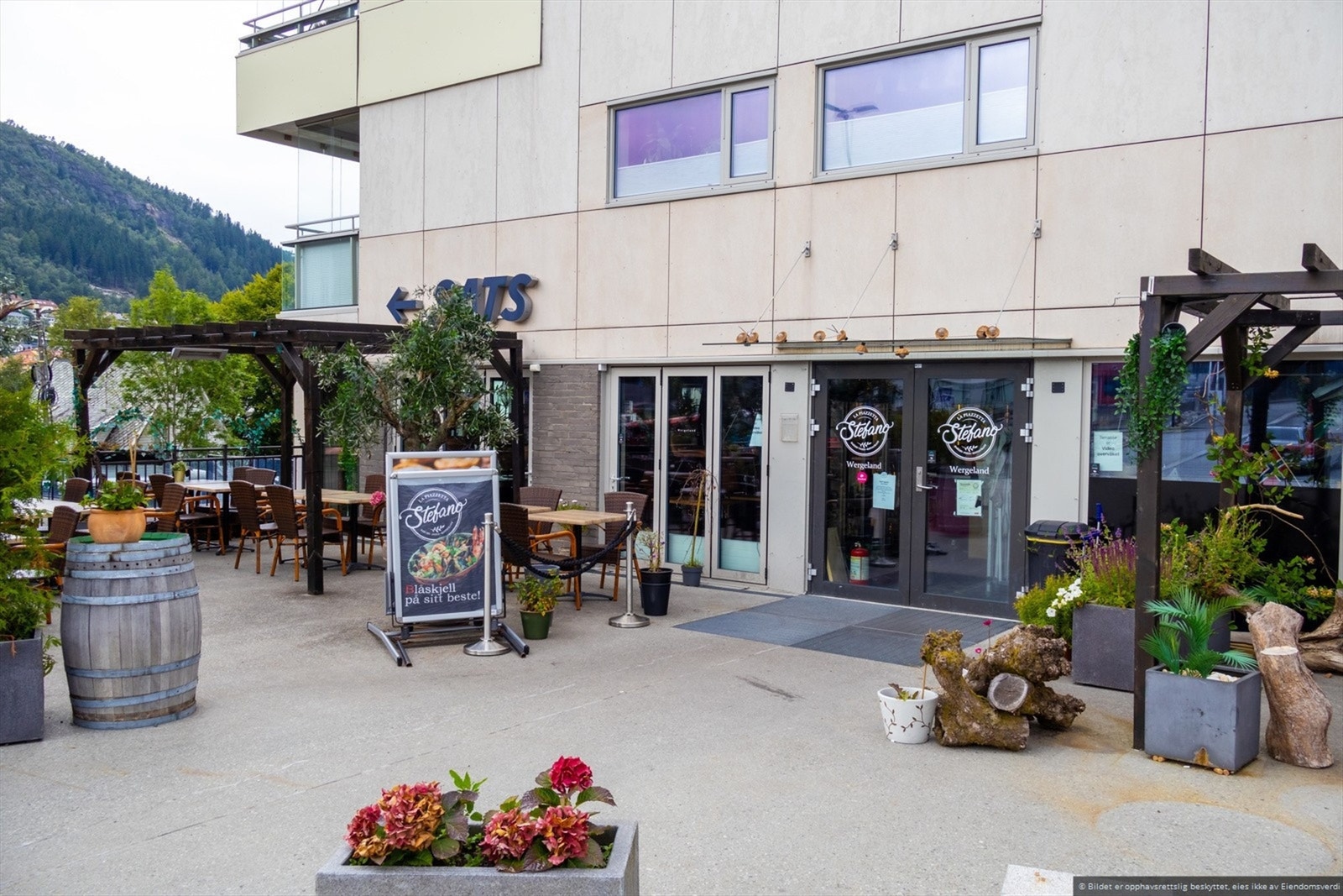 Stefano Wergeland. Galleribilde