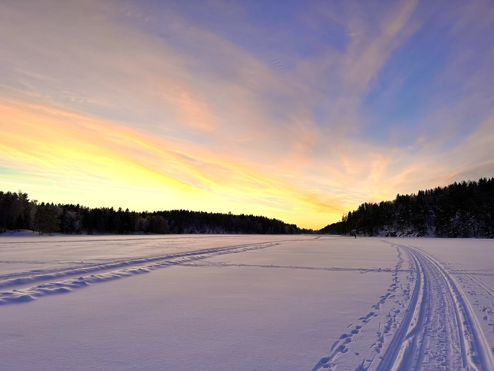 Selgers private bilde. Galleribilde