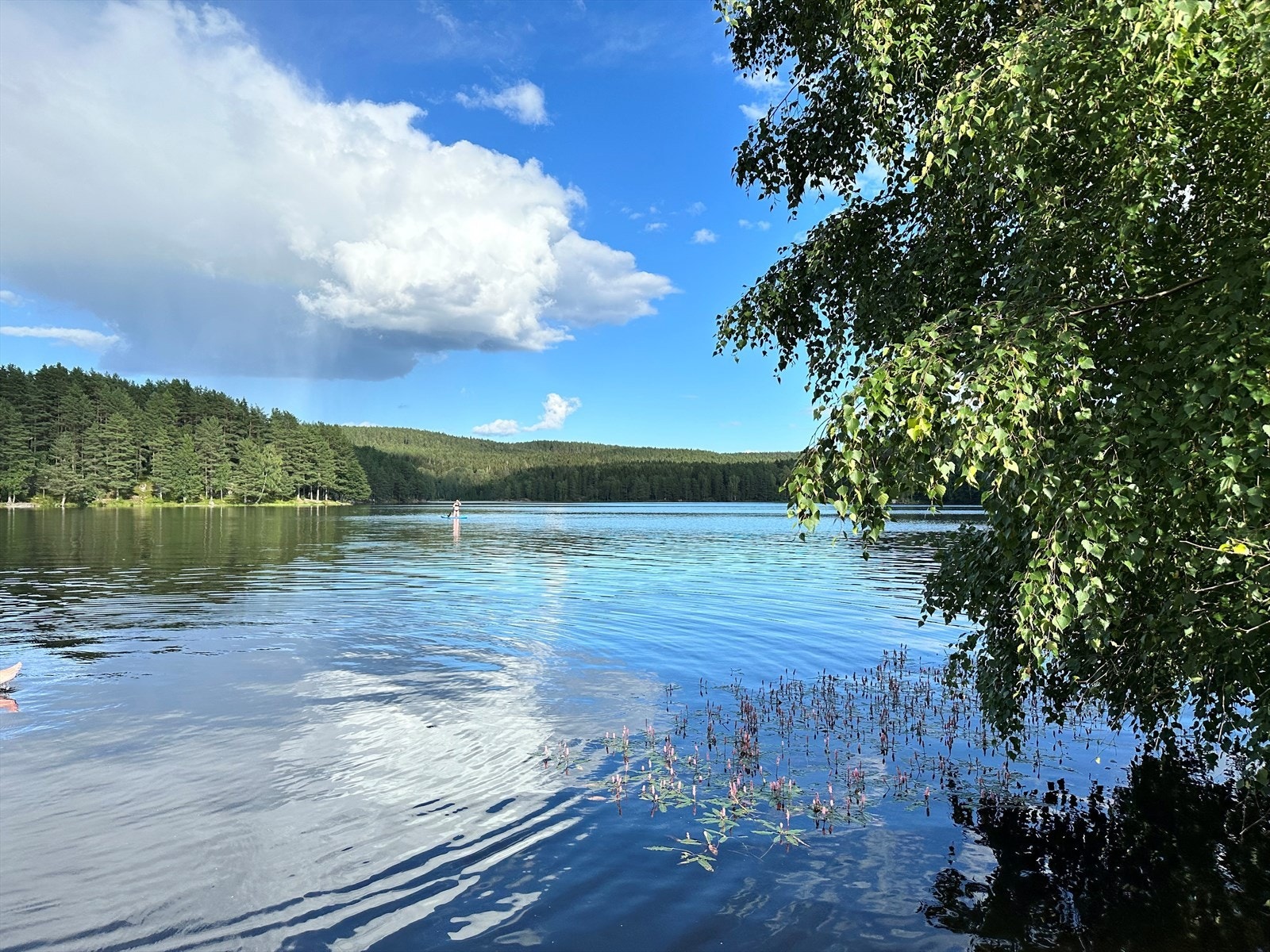 Selgers private bilde av idylliske Østmarka. Galleribilde