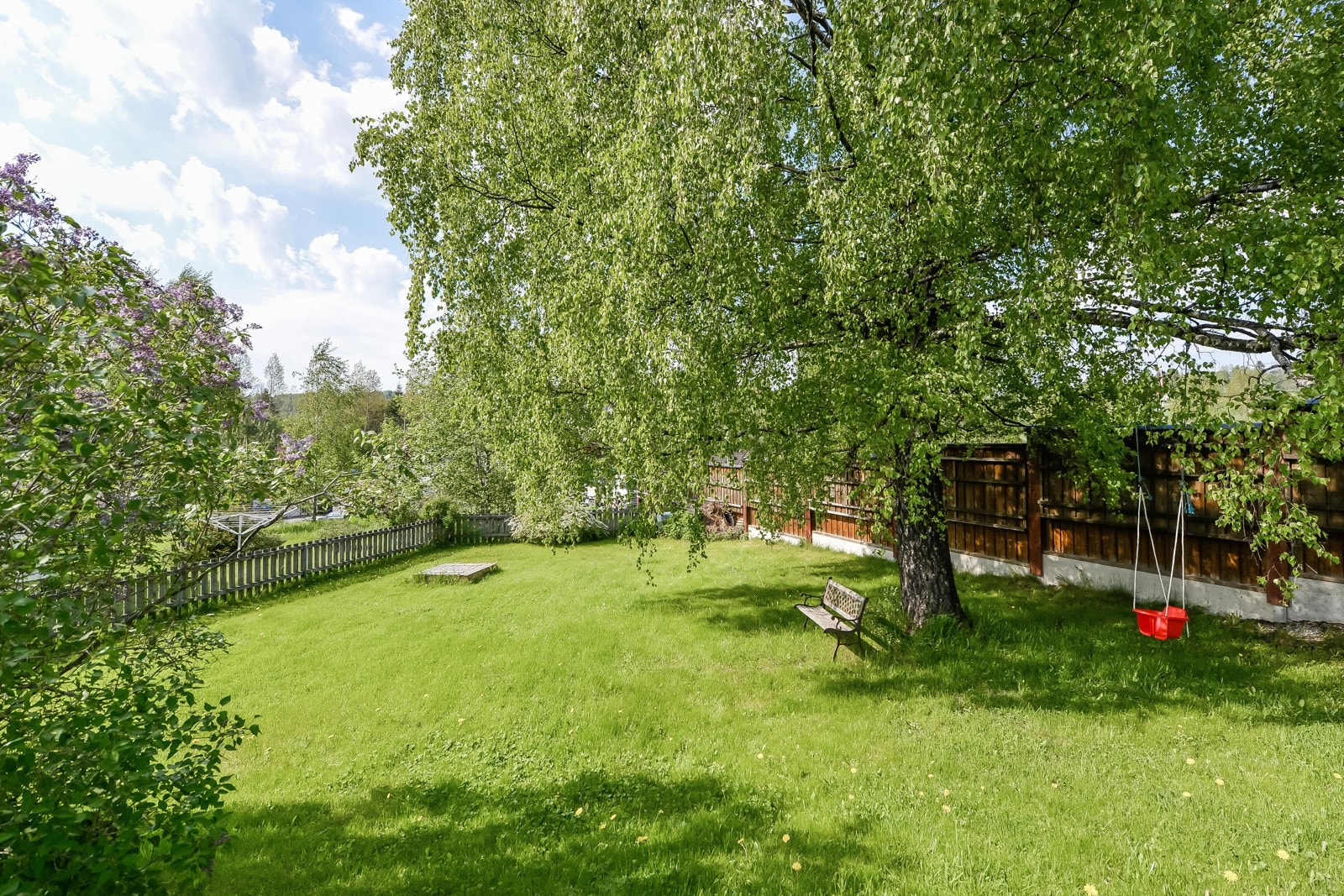 Hyggelig felles hage. Galleribilde