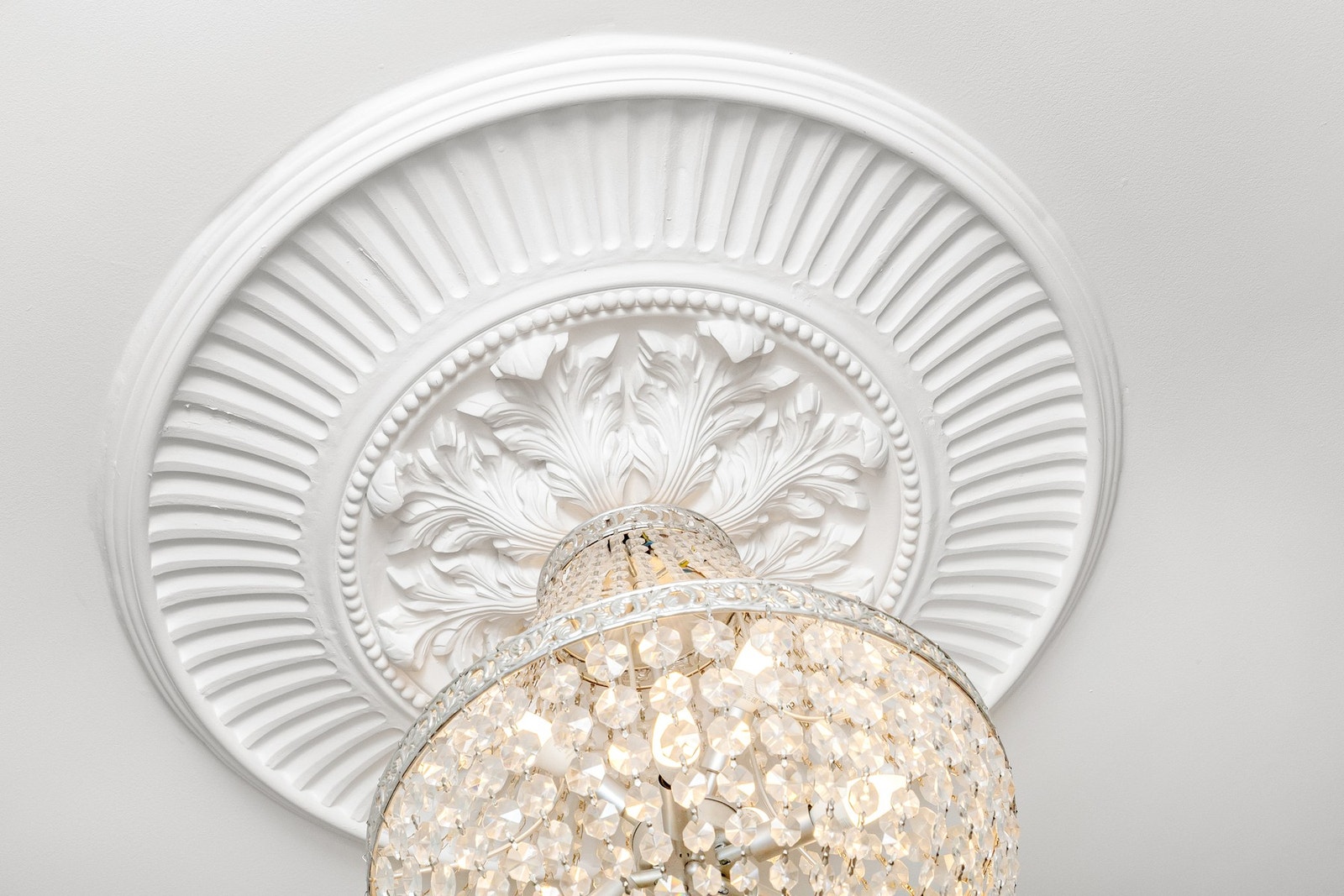 Flott rosett. Galleribilde