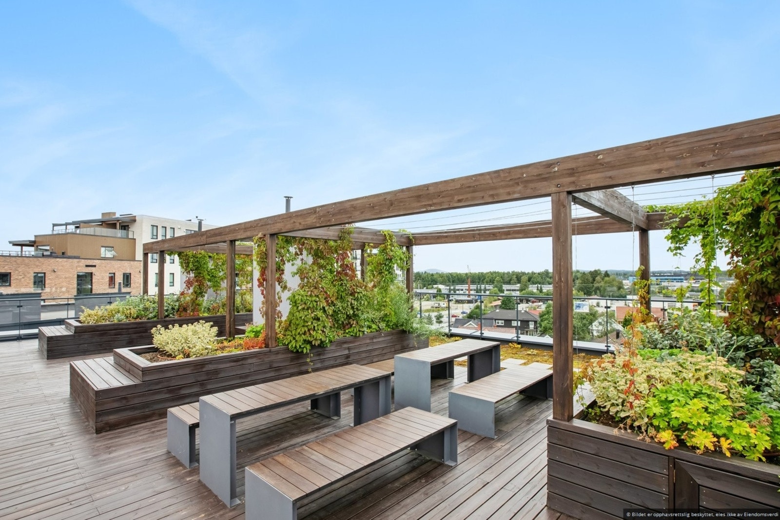 Takterrasse. Galleribilde