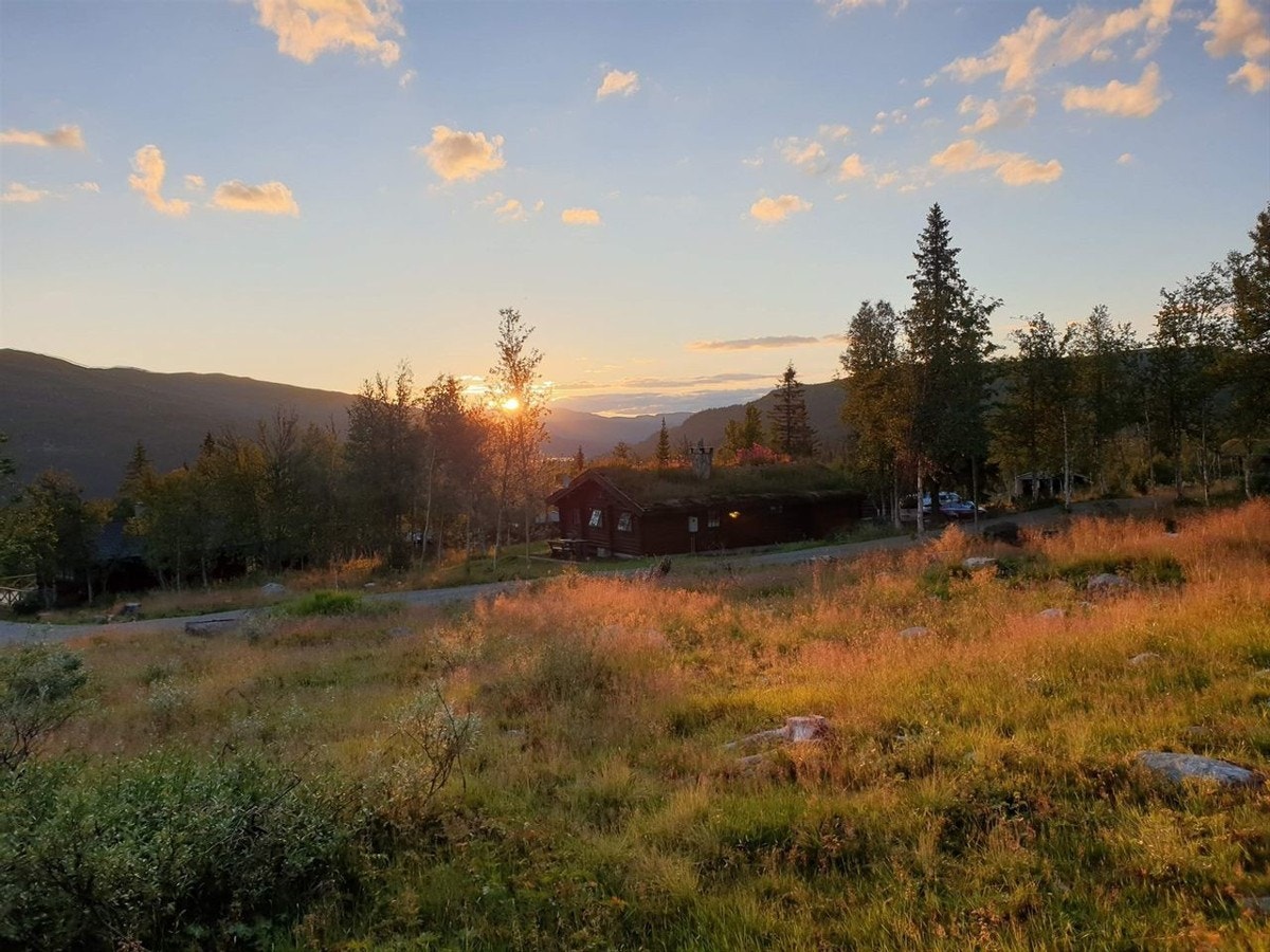 Nydelig solnedgang i fjellet Galleribilde