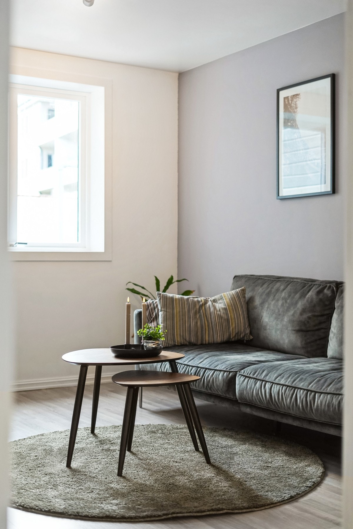 Husk og ordne med finansiering til visning. Galleribilde