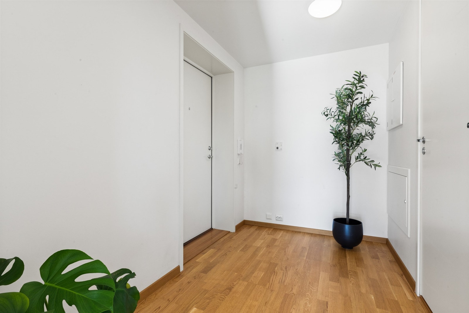 Entré/gang Galleribilde