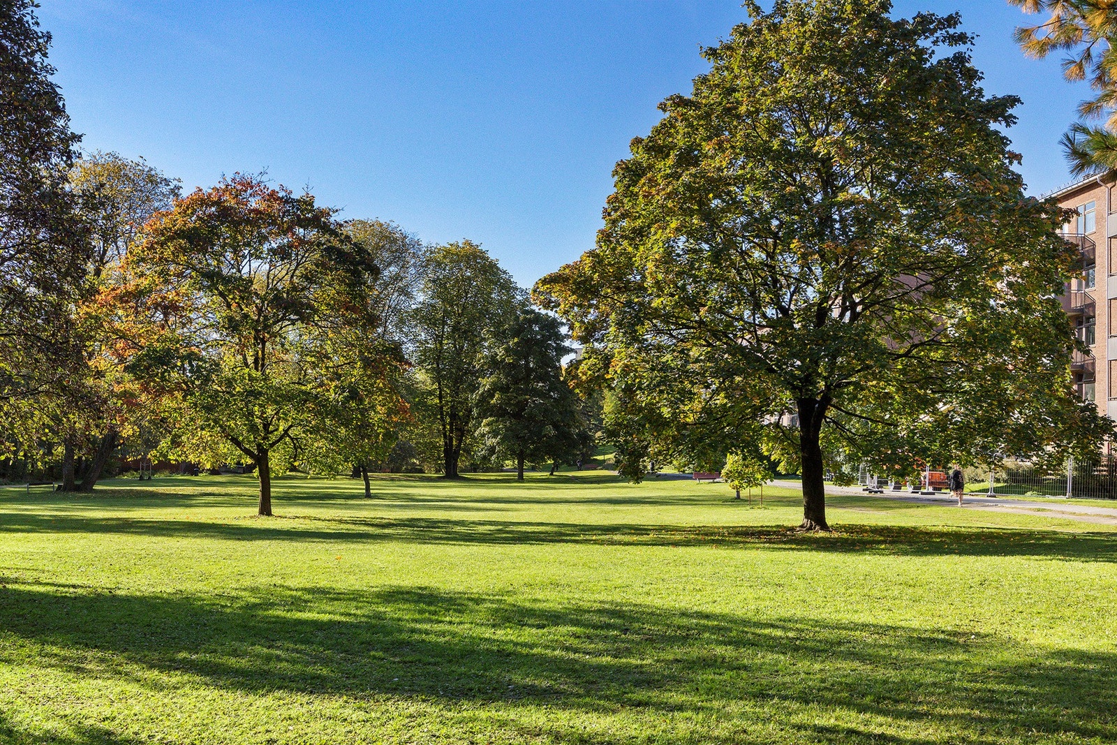 Fra boligen er det kort vei til flere parker og Akerselva som byr på alle parkmessige fasiliteter Galleribilde
