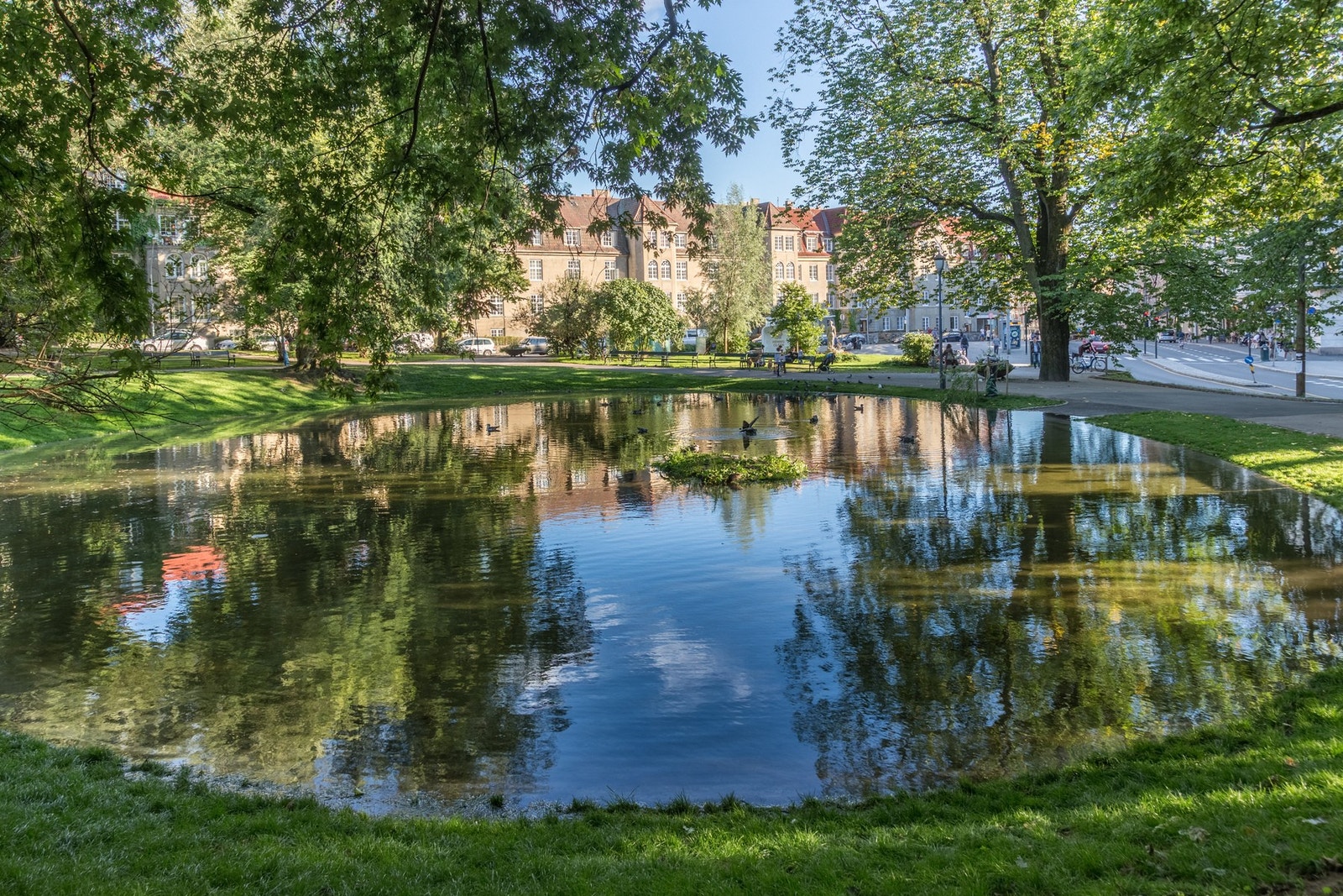 Nærområdet. Galleribilde