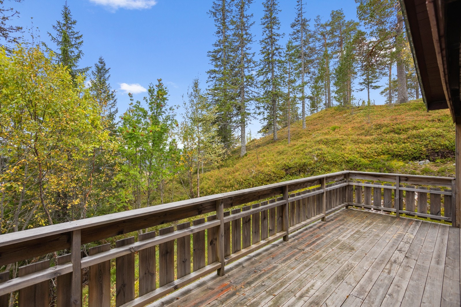 Østvendt terrasse på 19 m2. Galleribilde