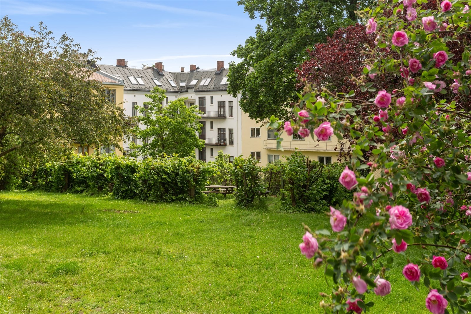 Sameiet har en flott solrik felles hage, pent opparbeidet med sittegrupper, lekeapparat og felles grill. Galleribilde