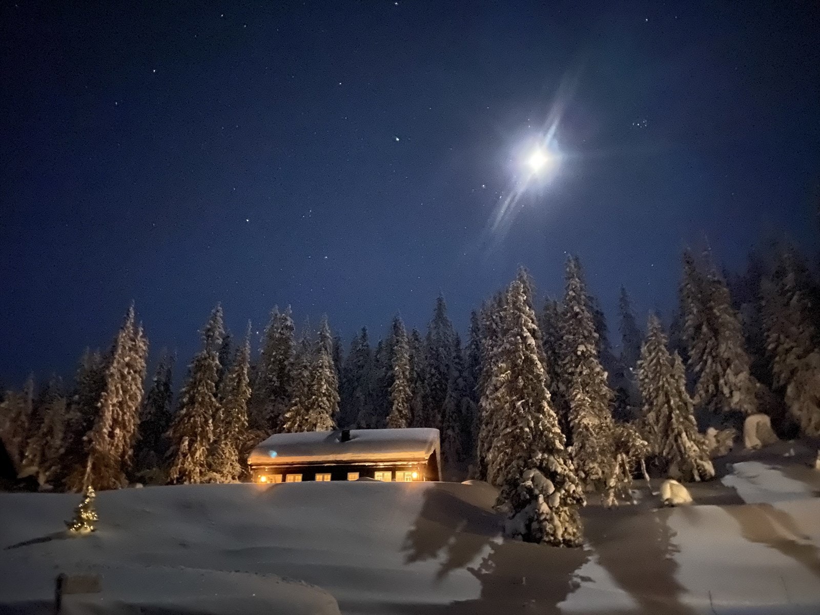 Kveldssteming. Galleribilde