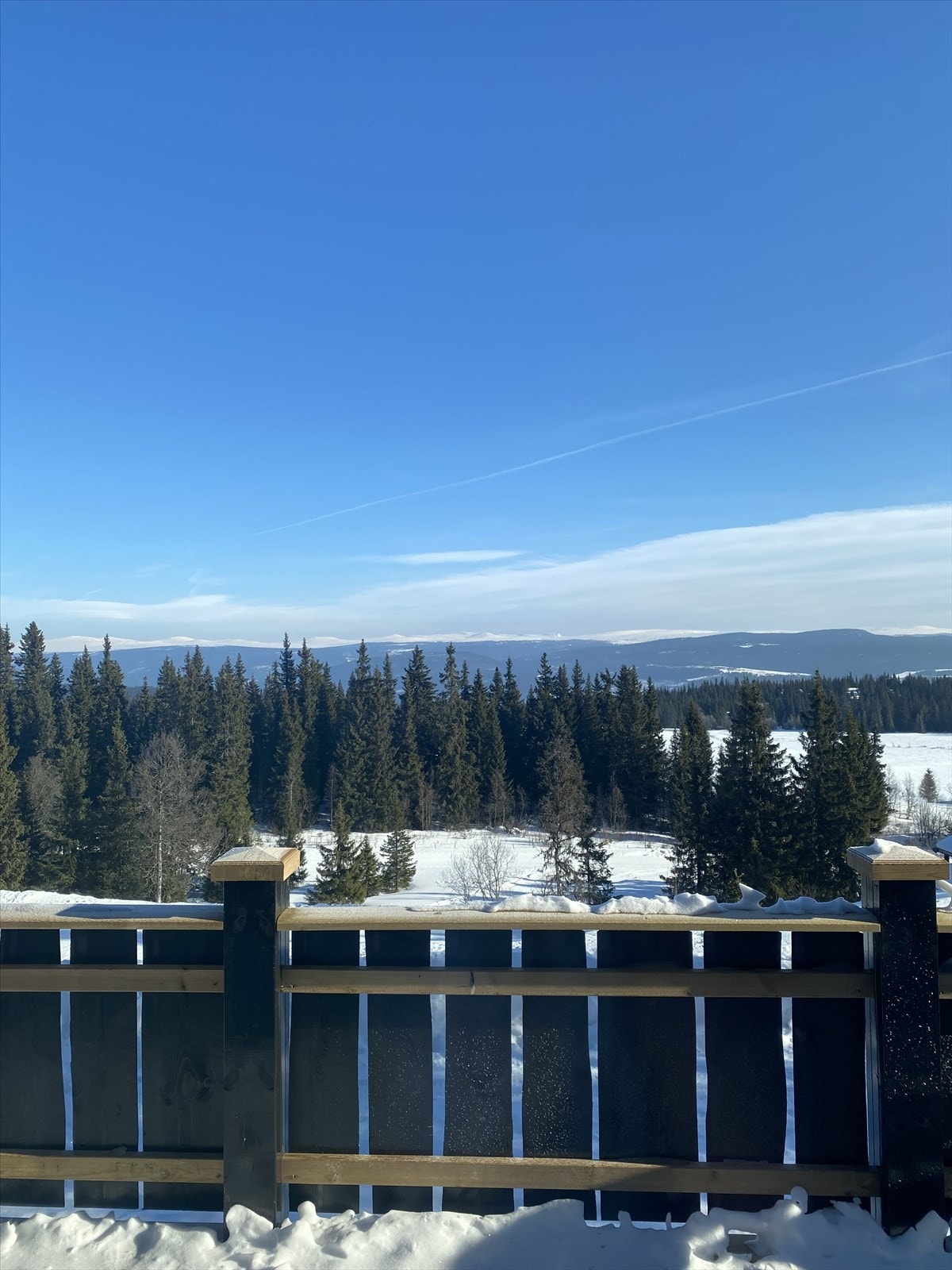 Utsikt. Galleribilde