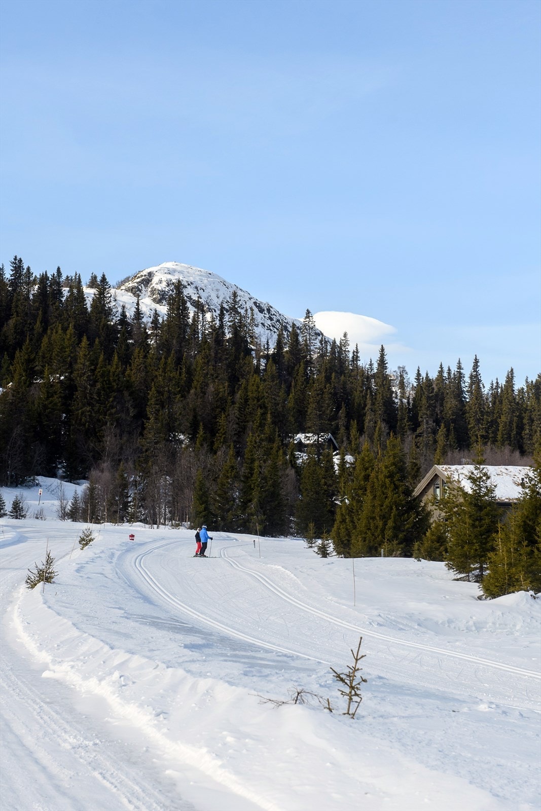 Fra hytta er det bare noen få meter til Kvitfjells godt preparerte løypenett. Galleribilde