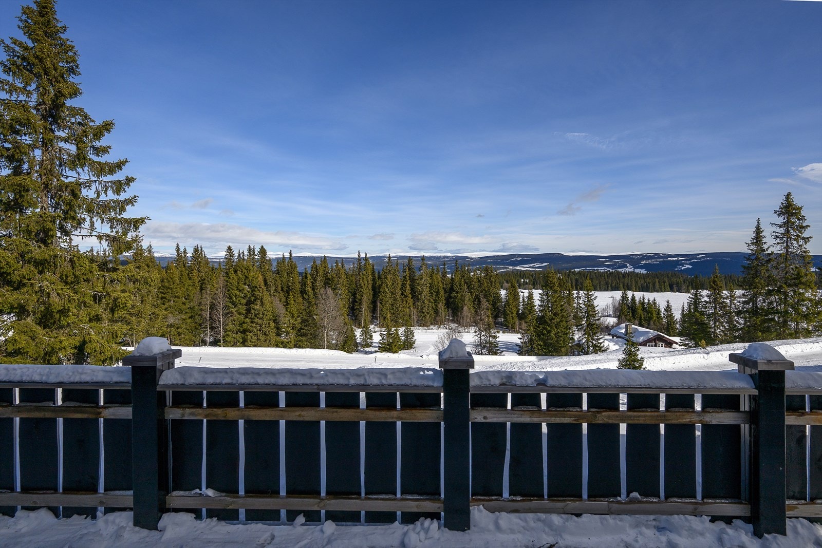 Utsikt. Galleribilde