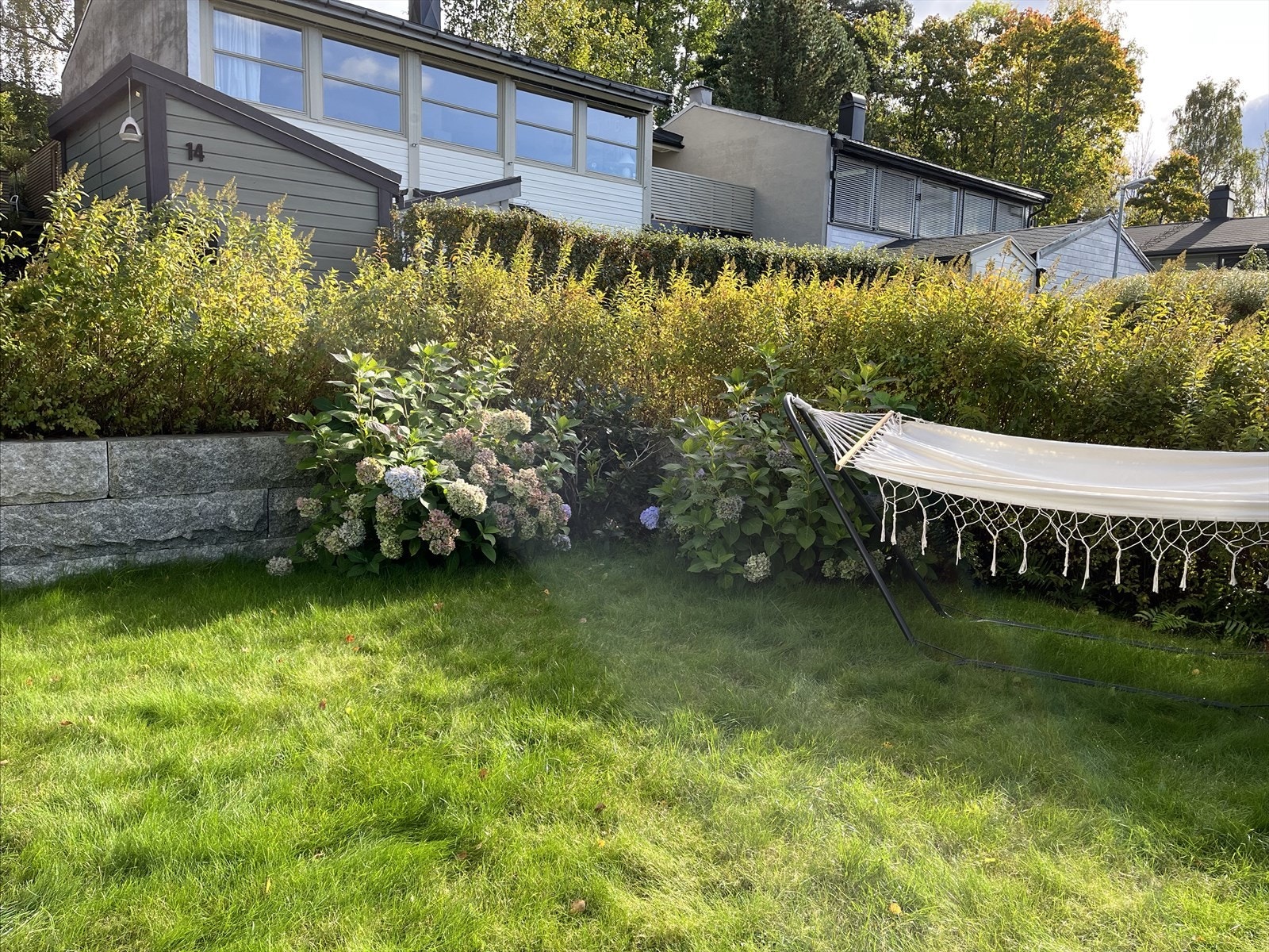 Privat bilde sommerstid Galleribilde