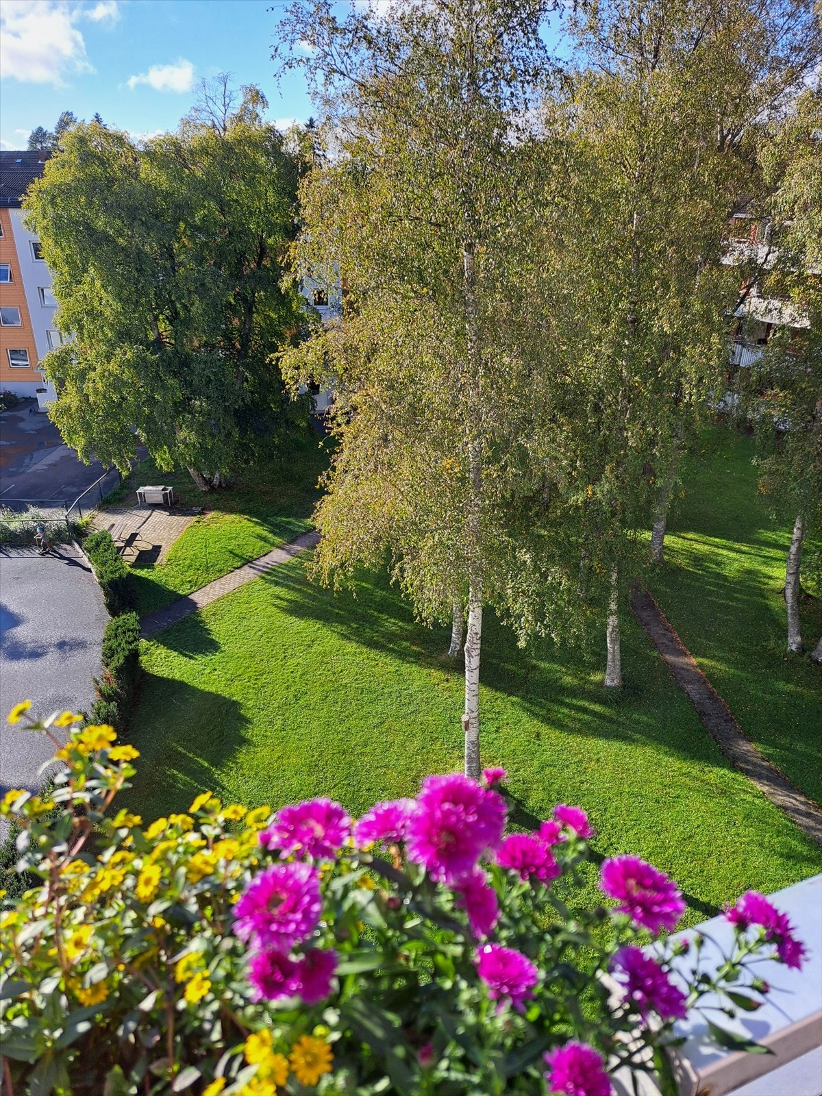 Frodige og grønne fellesarealer. Her bor du usjenert uten direkte innsyn. Galleribilde